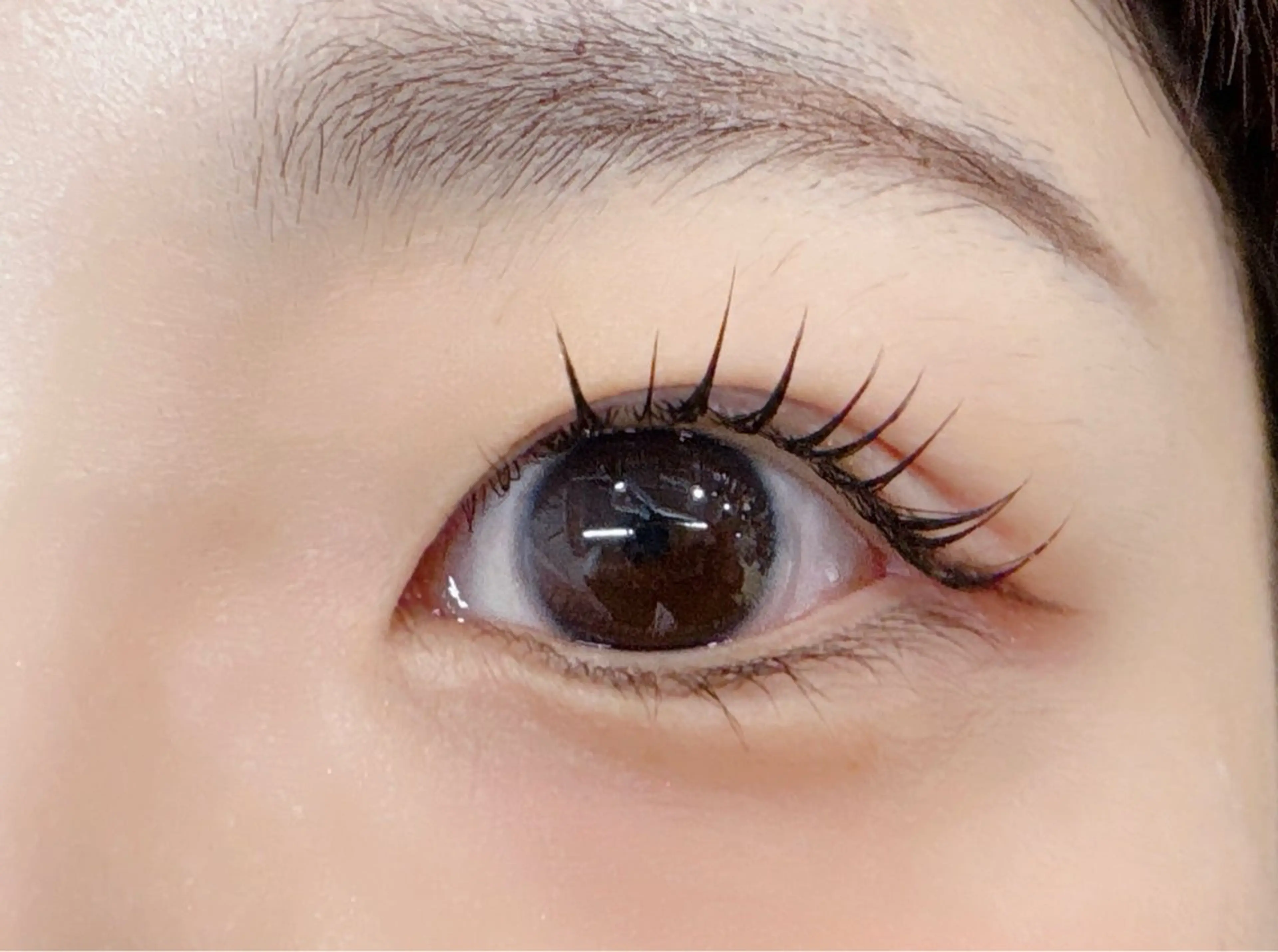 マツエク・マツパ アスカ 🤎🧸のマツエク・マツパデザイン