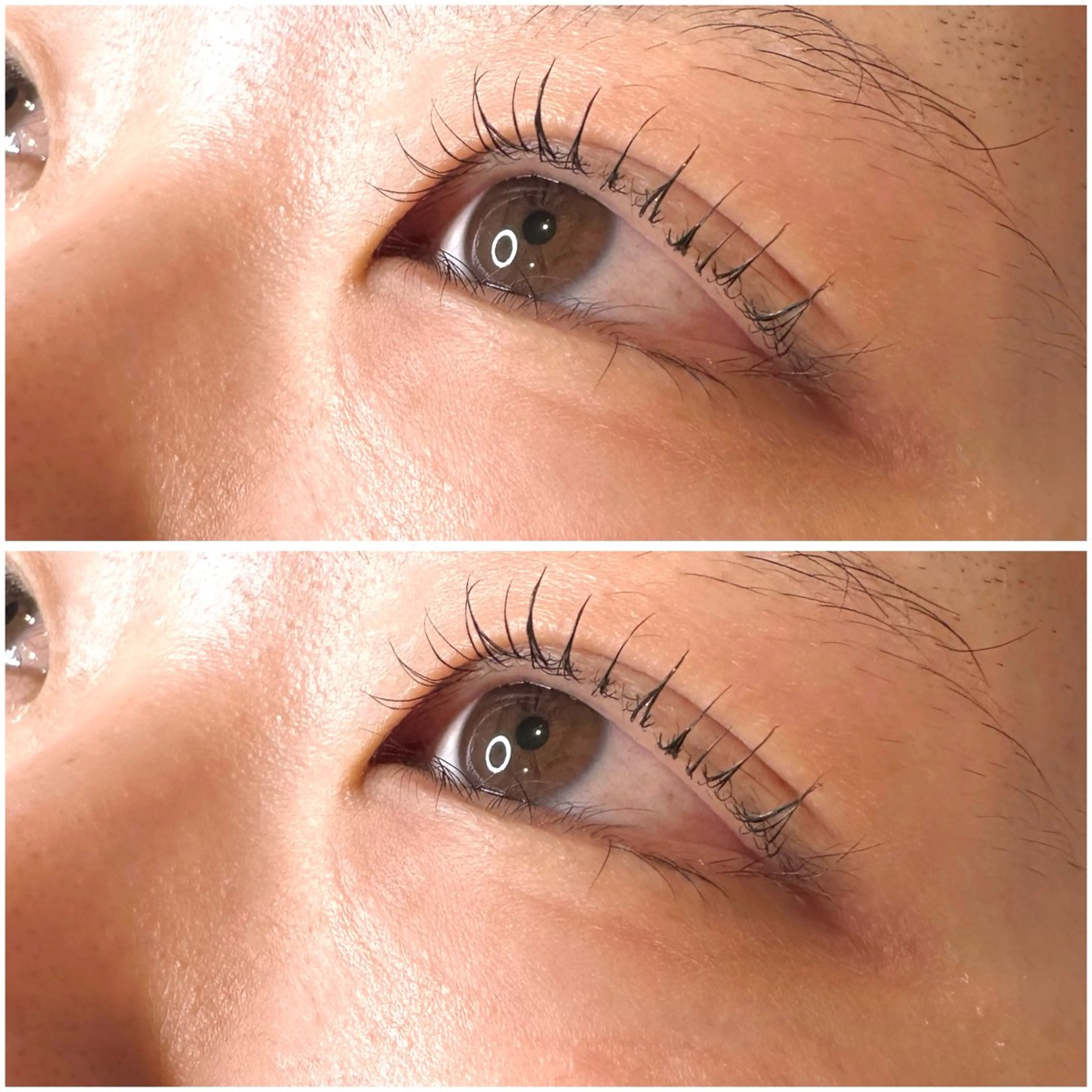 マツエク・マツパ マツパ 洞庭 青葉のマツエク・マツパデザイン