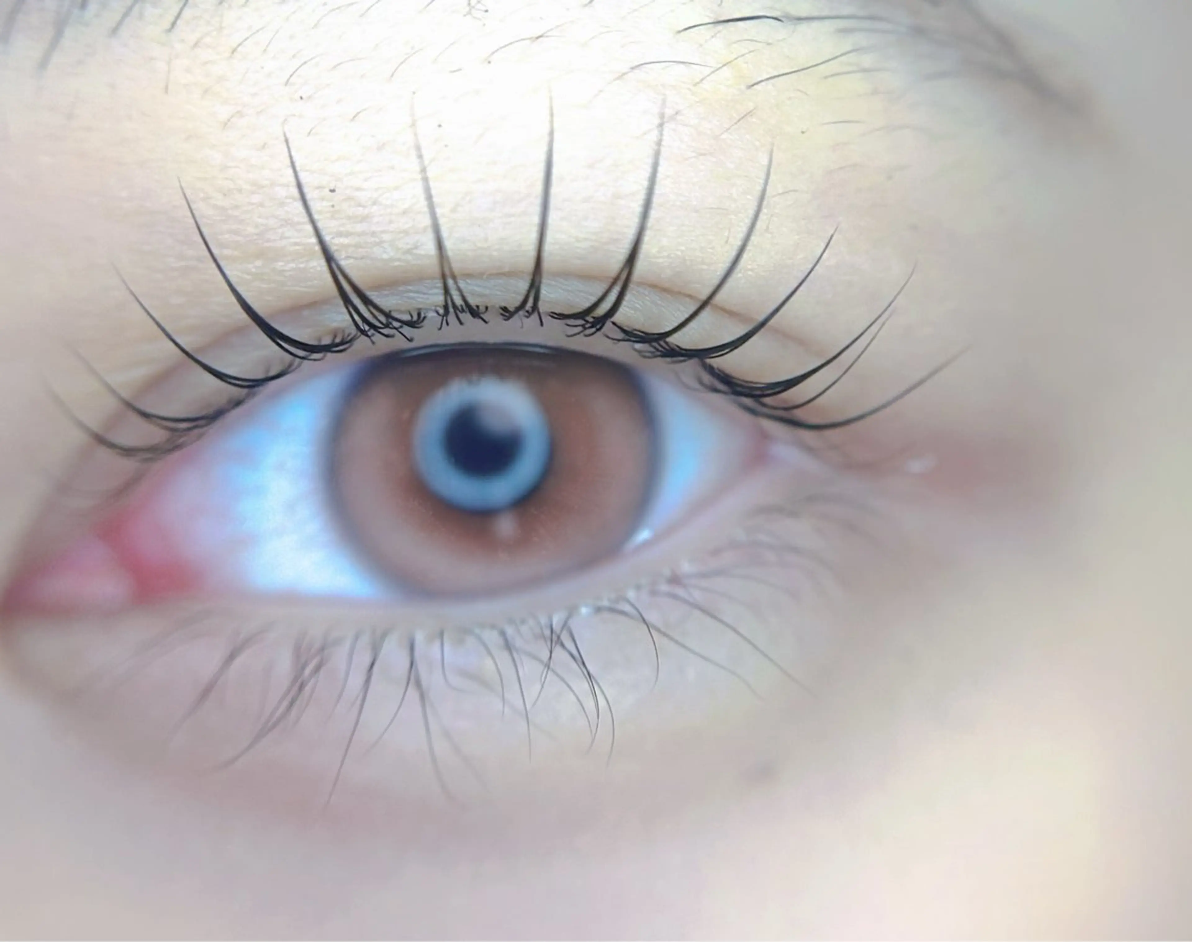 マツエク・マツパ パリジェンヌラッシュリフト マツパ 🎀eyelist. mizuki🐈‍⬛の眉毛・アイブロウイメージ