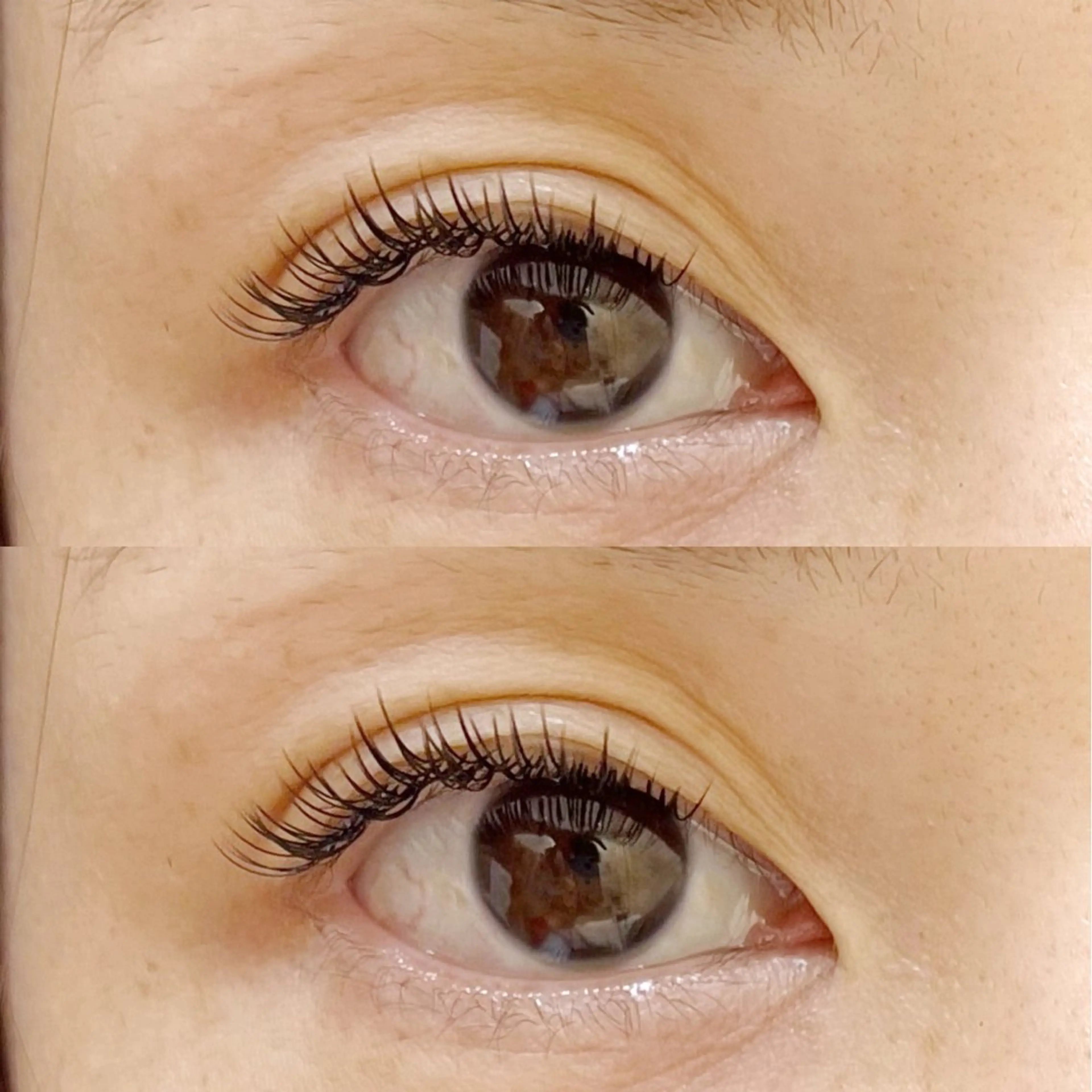 フラットラッシュ 120本の写真