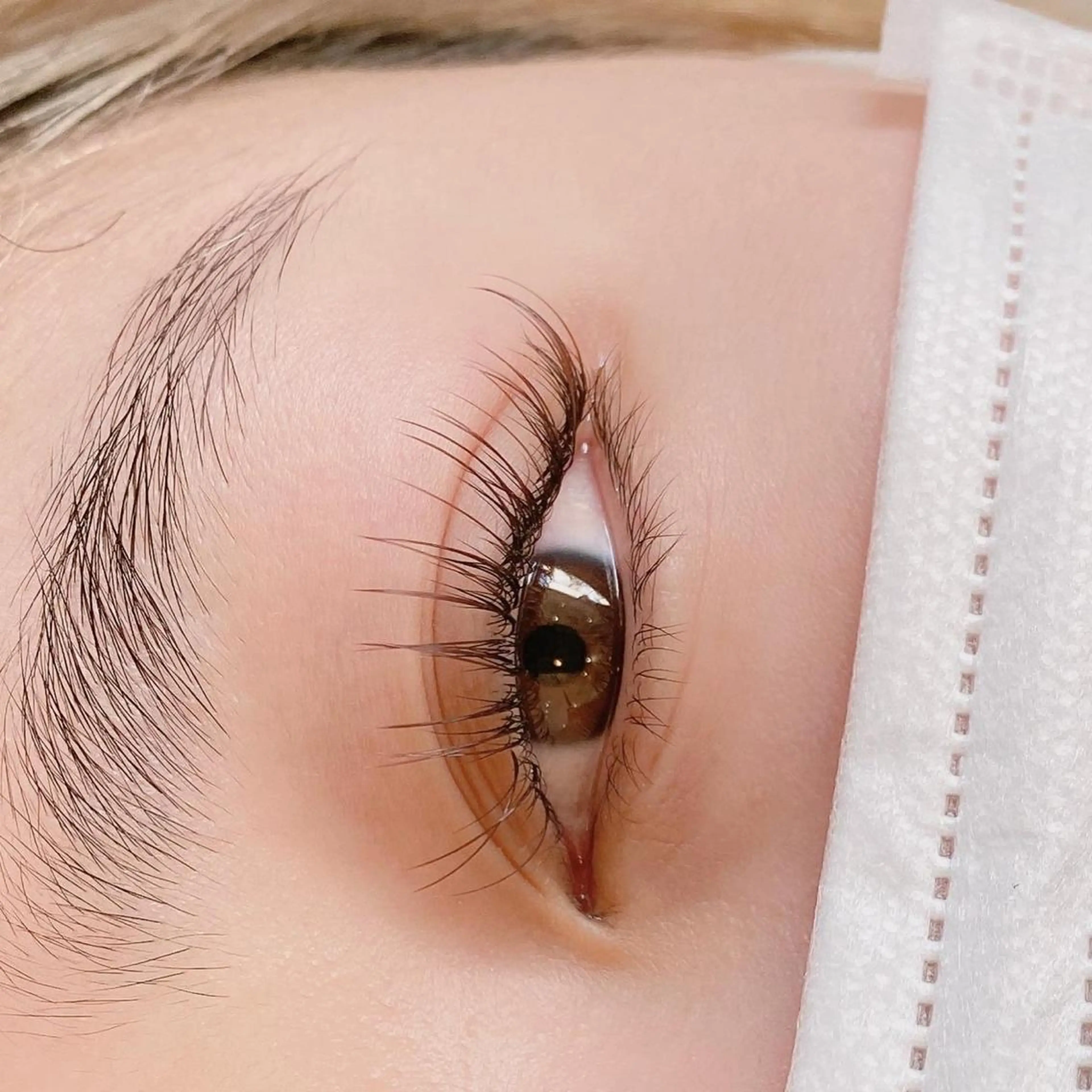 パリエクor エクパー80本🔮下がりまつ毛にはコレ㊙️目を綺麗に魅せる🇫🇷の写真