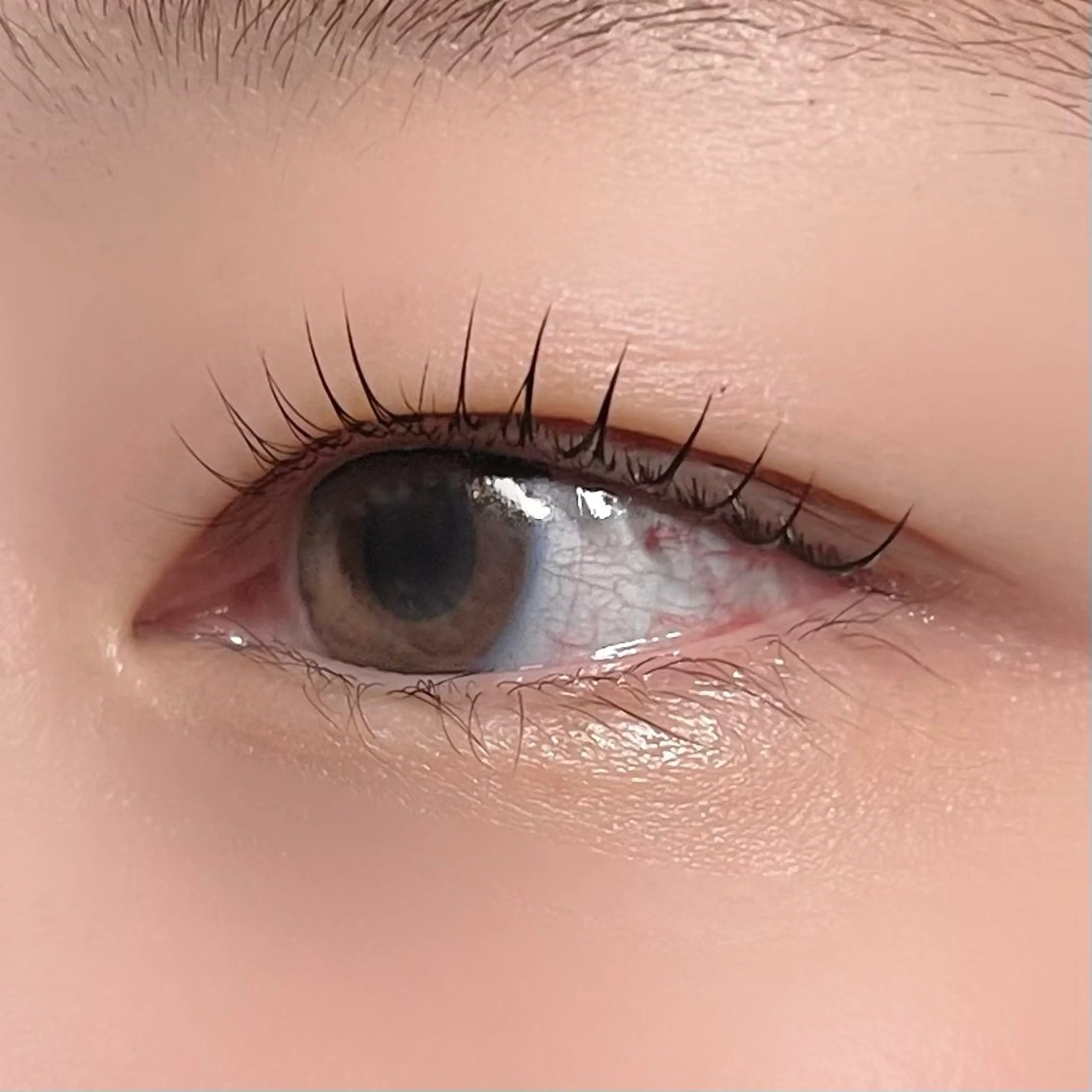 マツエク・マツパ 垢抜け眉WAX専門 ちゅるんまつげ|鎌倉の眉毛・アイブロウイメージ