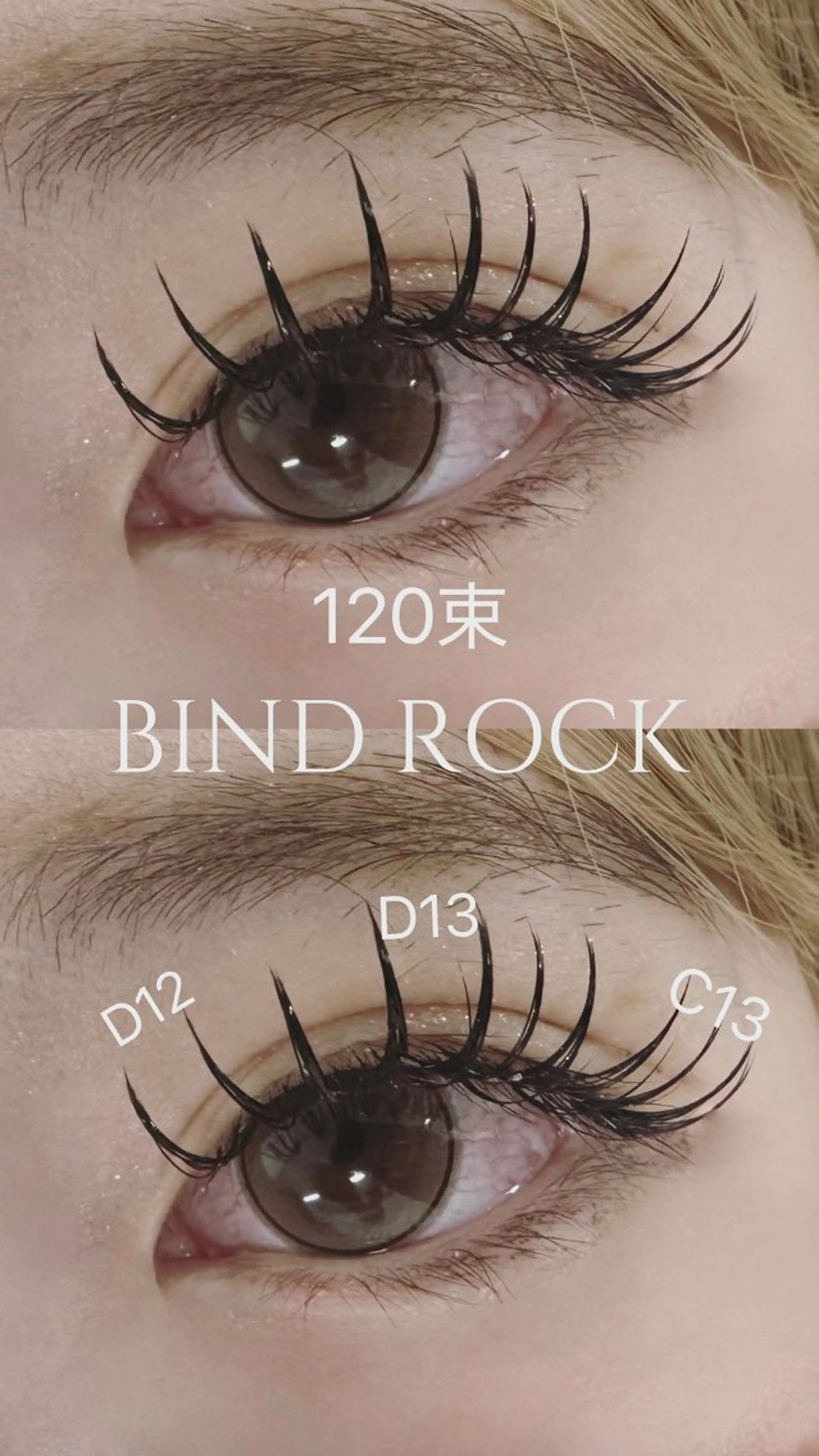 バインドロック120束💙オフ別途550の写真