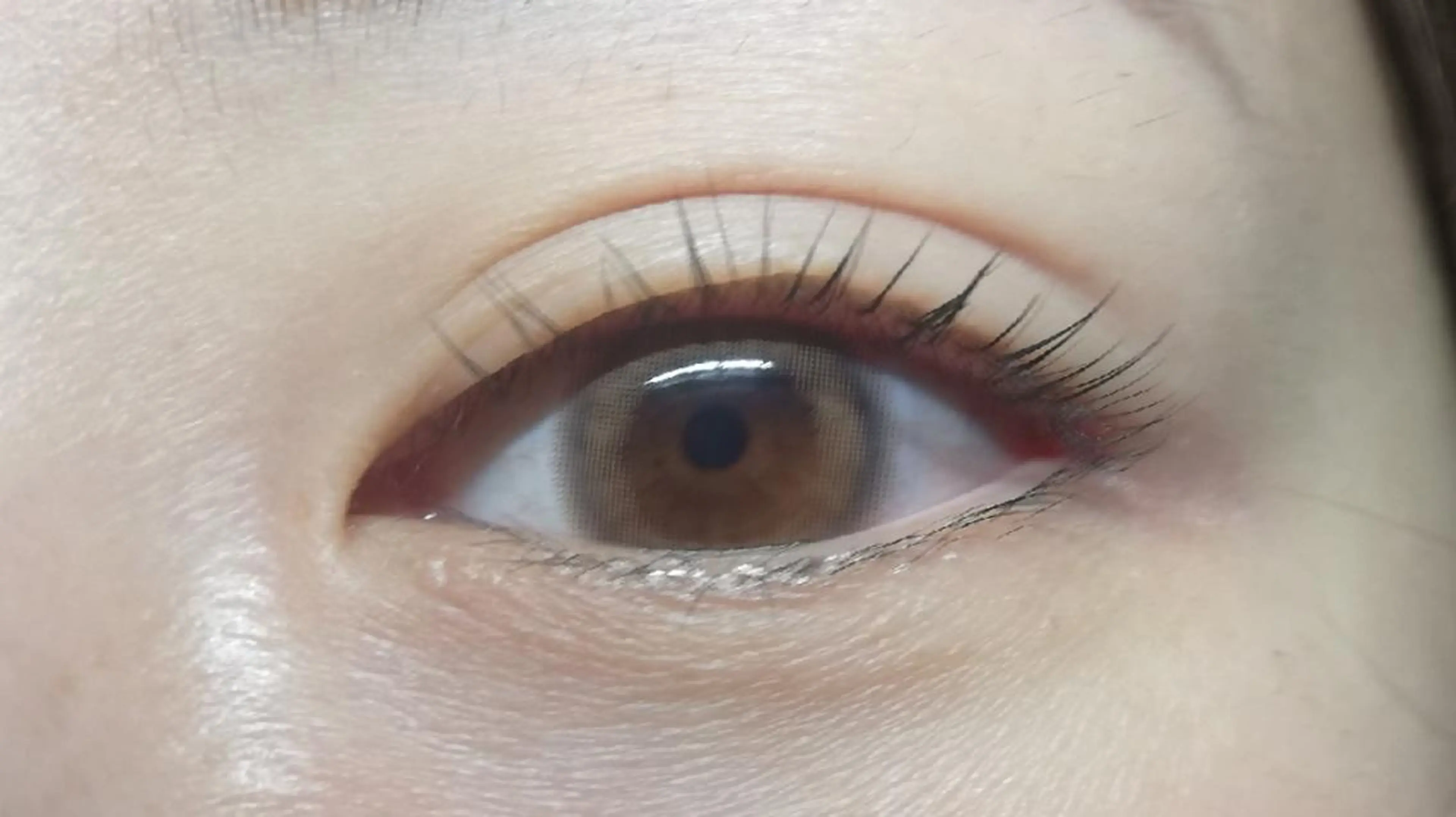 マツエク・マツパ マツパ angelux 所属・完全個室サロン🌹 angelux🌹のマツエク・マツパデザイン