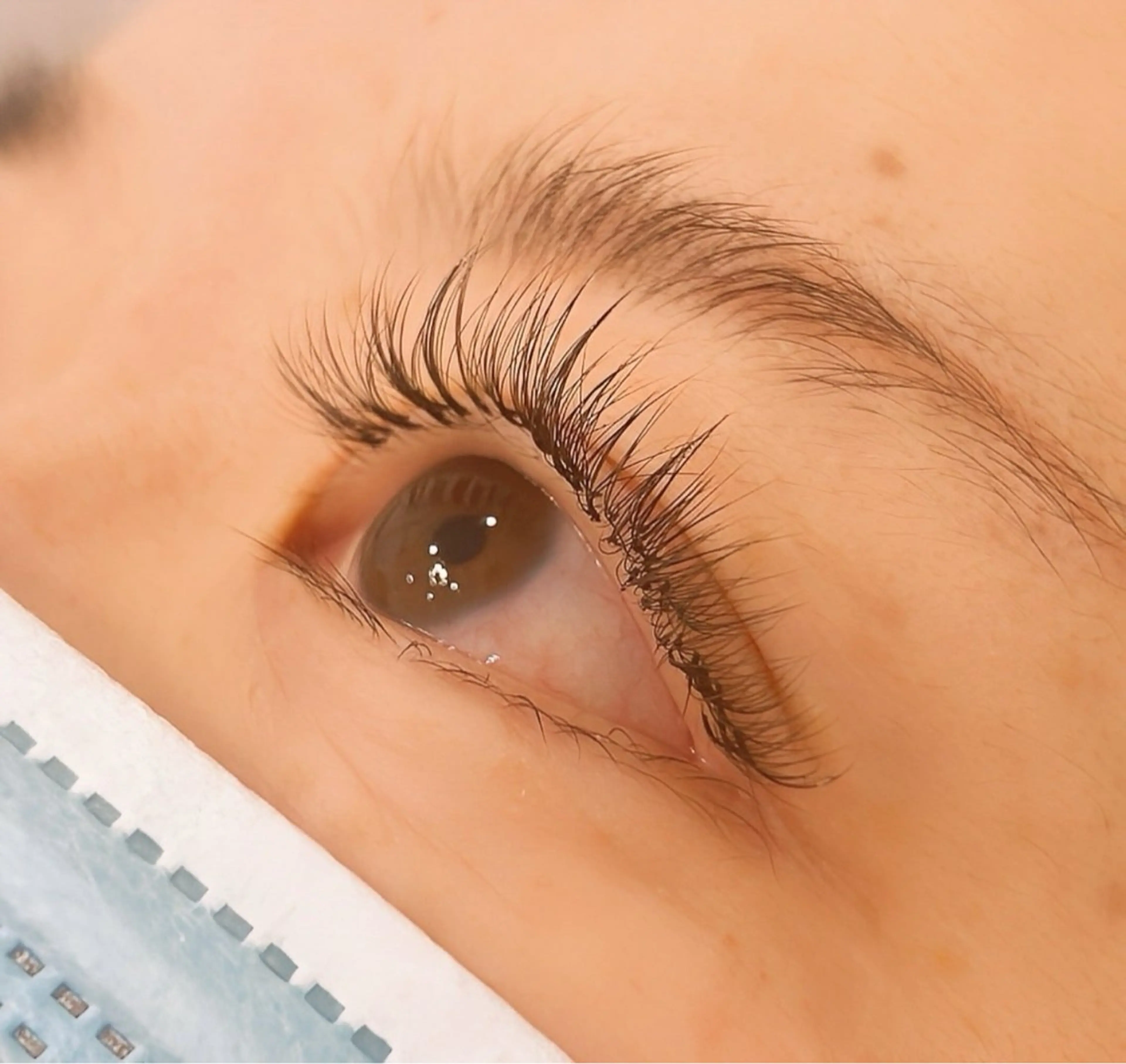 バインドロックorダブルフラットラッシュ80束（160本）オフ込み/仕上げトリートメントコーティング付の写真