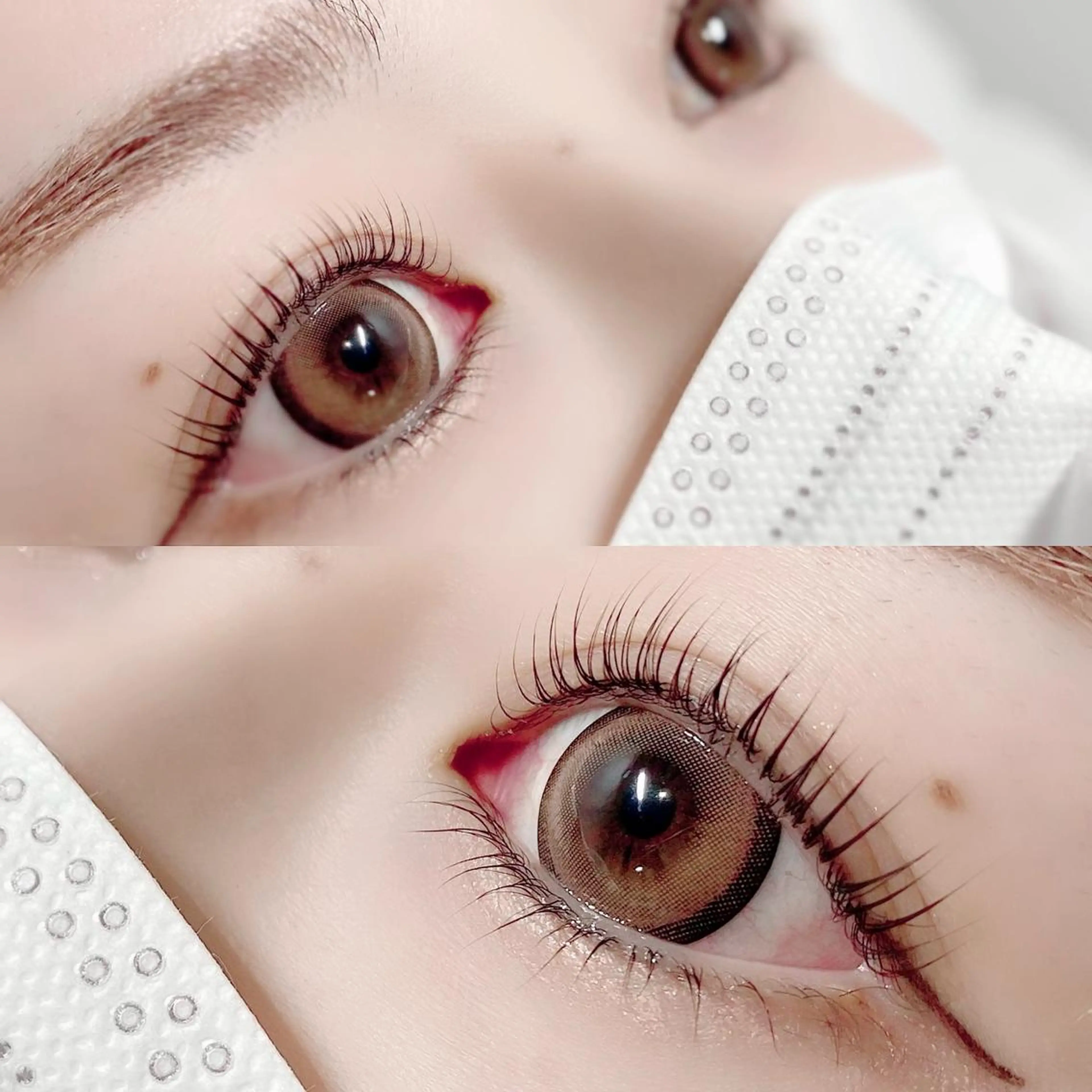 ãããšã¯ã»ããã ããã ðððéð ððððã®ãããšã¯ã»ããããã¶ã€ã³