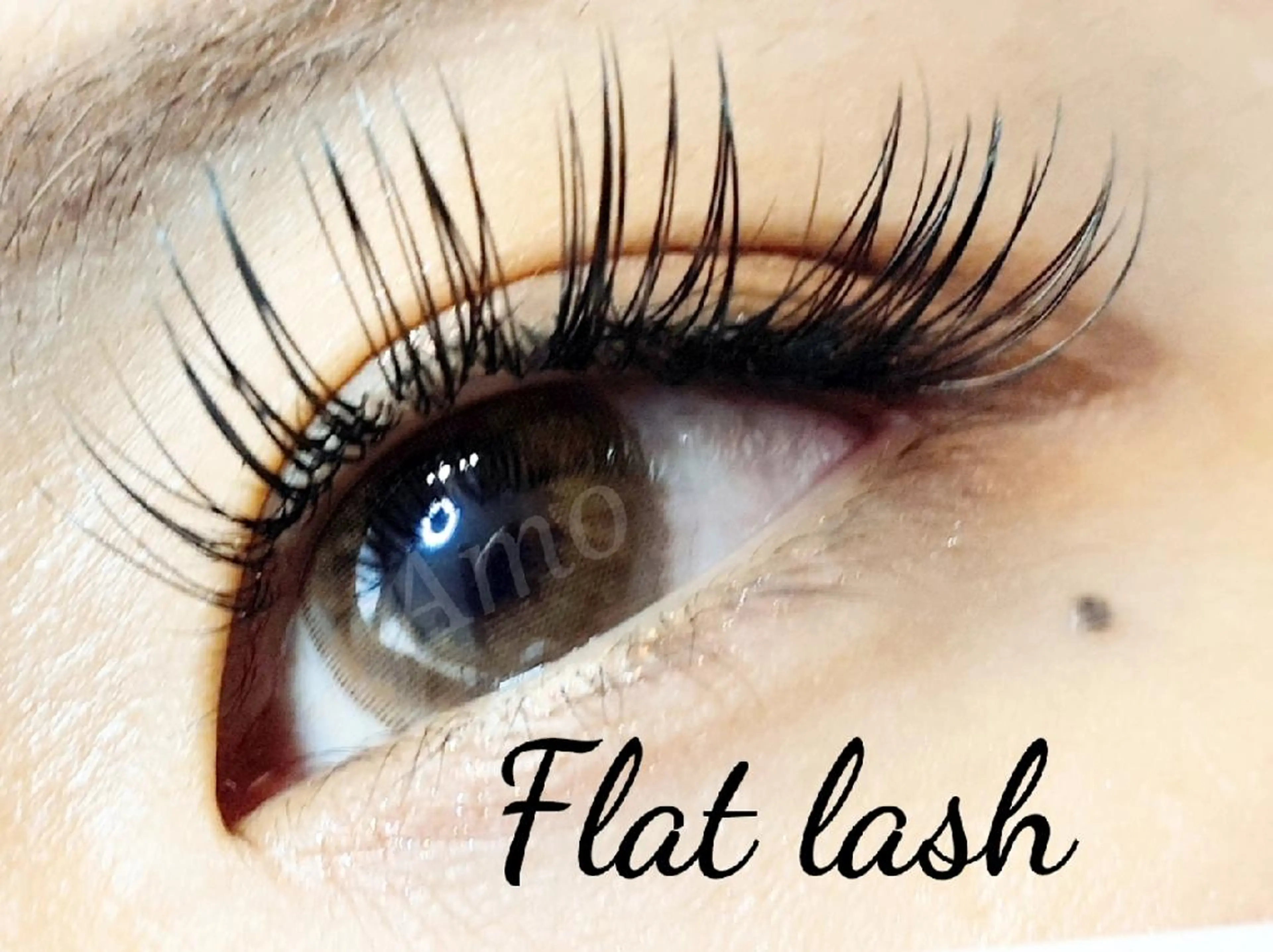 マツエク・マツパ 付け放題 束感まつ毛 Dカール フラットラッシュ セクシー ‘Amo アモのマツエク・マツパデザイン