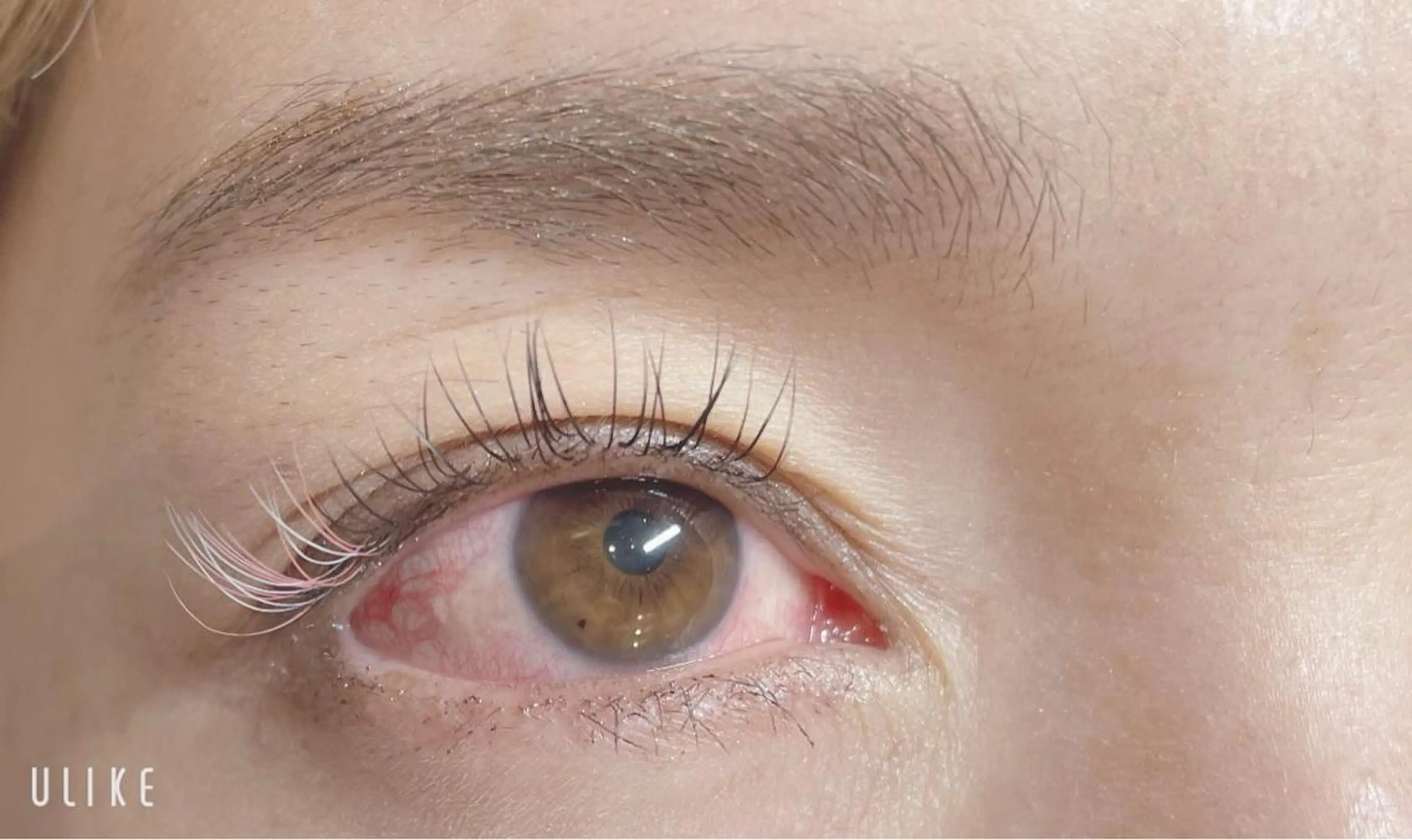 カラー マツエク・マツパ ピンクカラー カラーマツエク CUTS&Clare所属・末次 加奈のマツエク・マツパデザイン