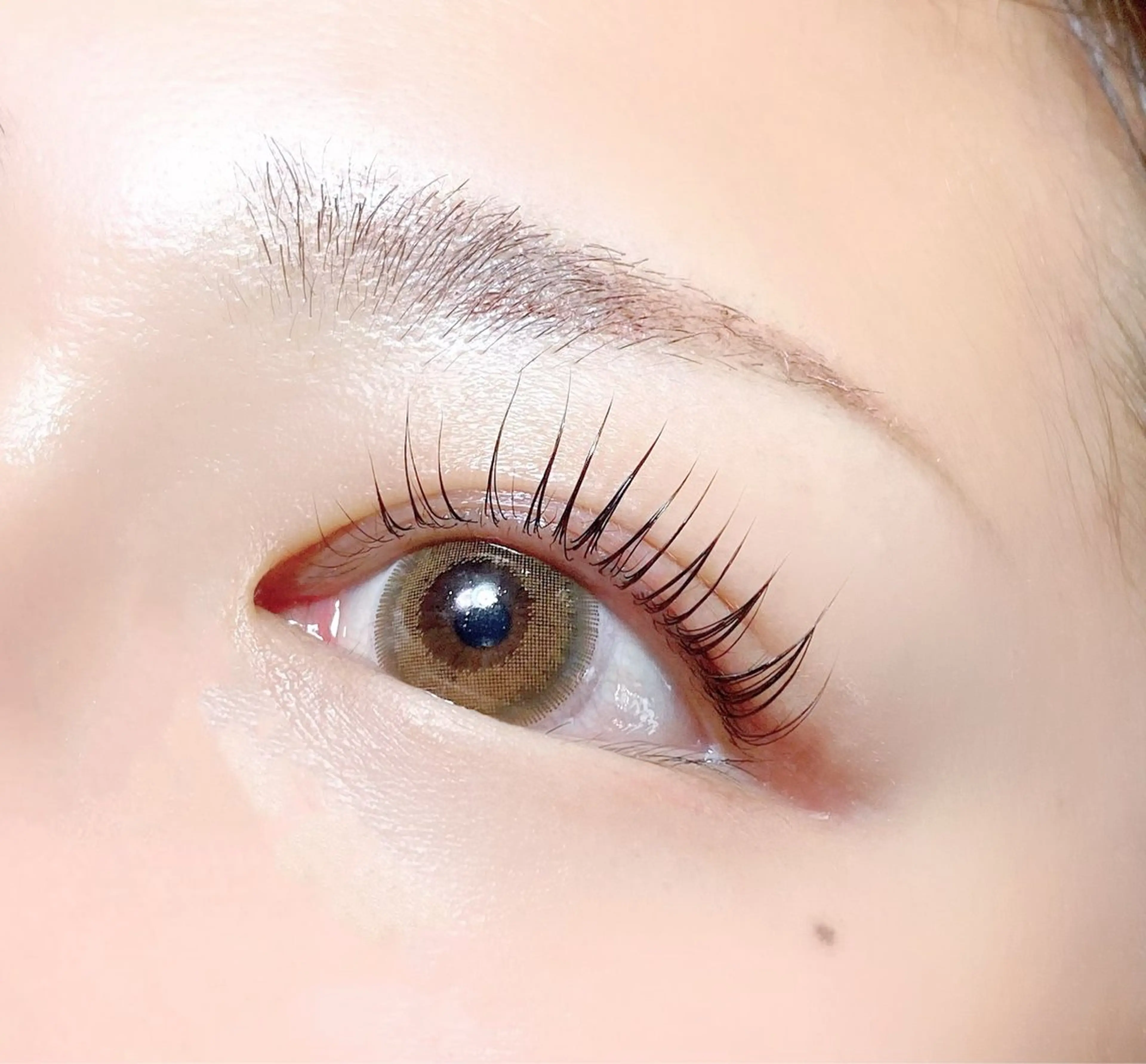 パリジェンヌor似合わせラッシュリフト（トリートメント付き）の写真