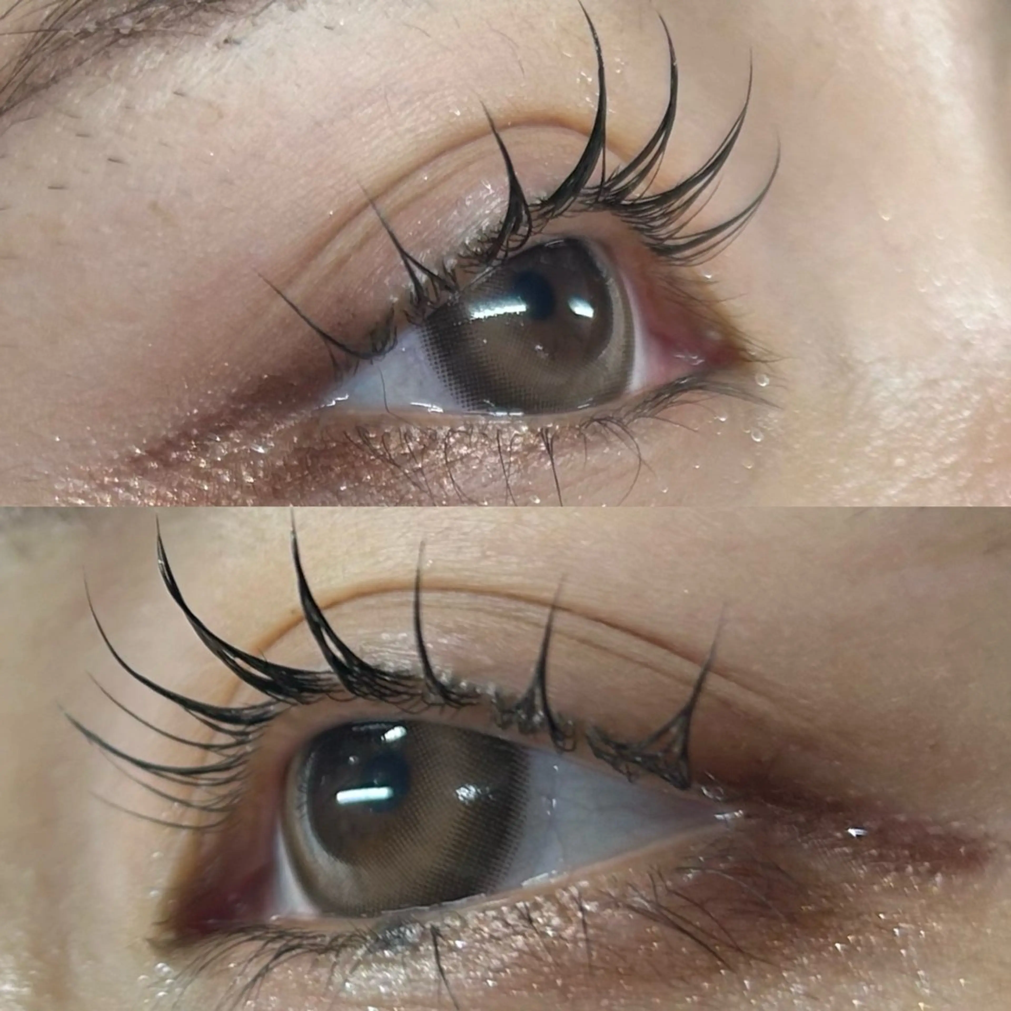 マツエク・マツパ あおい 🐼のマツエク・マツパデザイン