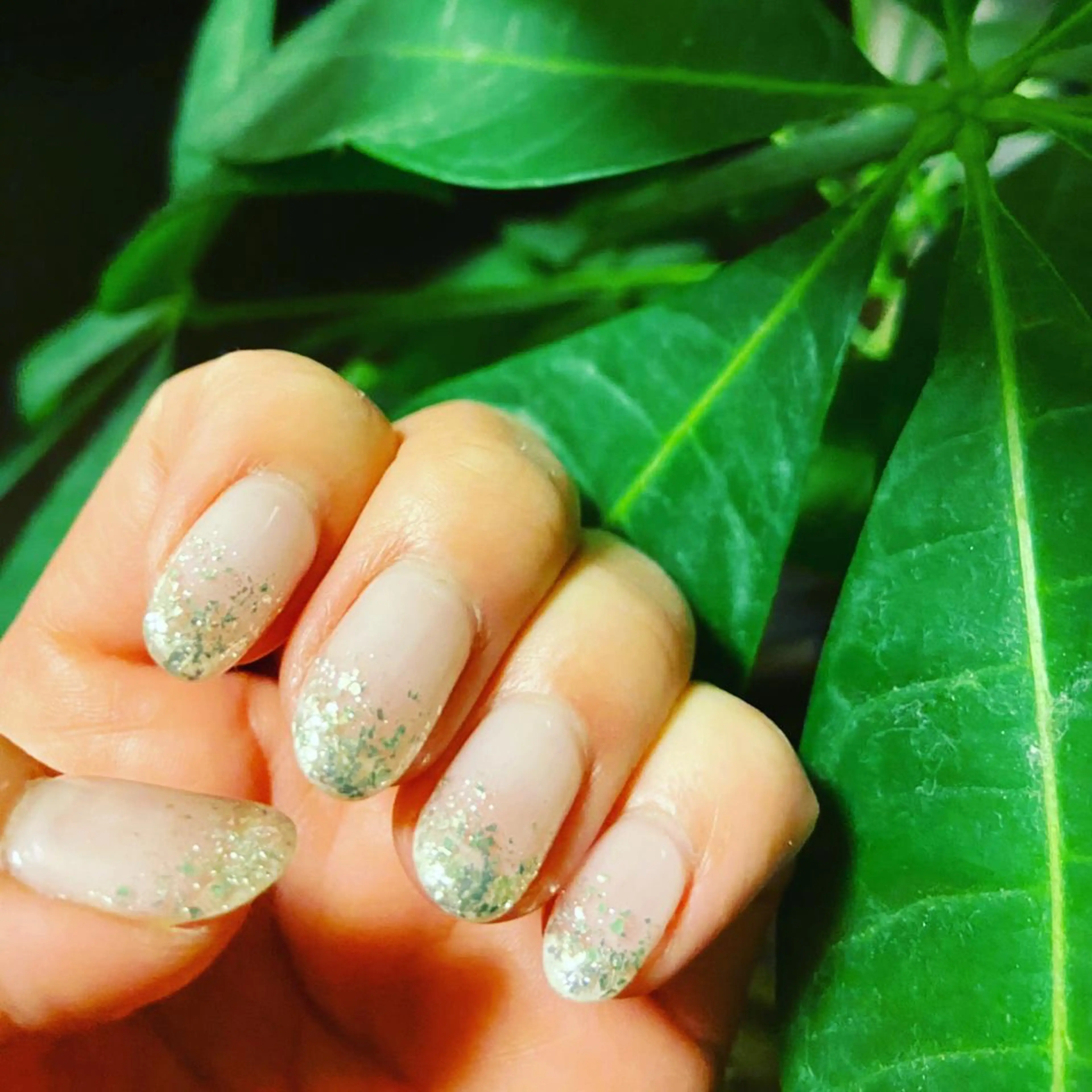 🉐2カラー・グラデーション・マグネットネイル　オフ込み¥4950の写真