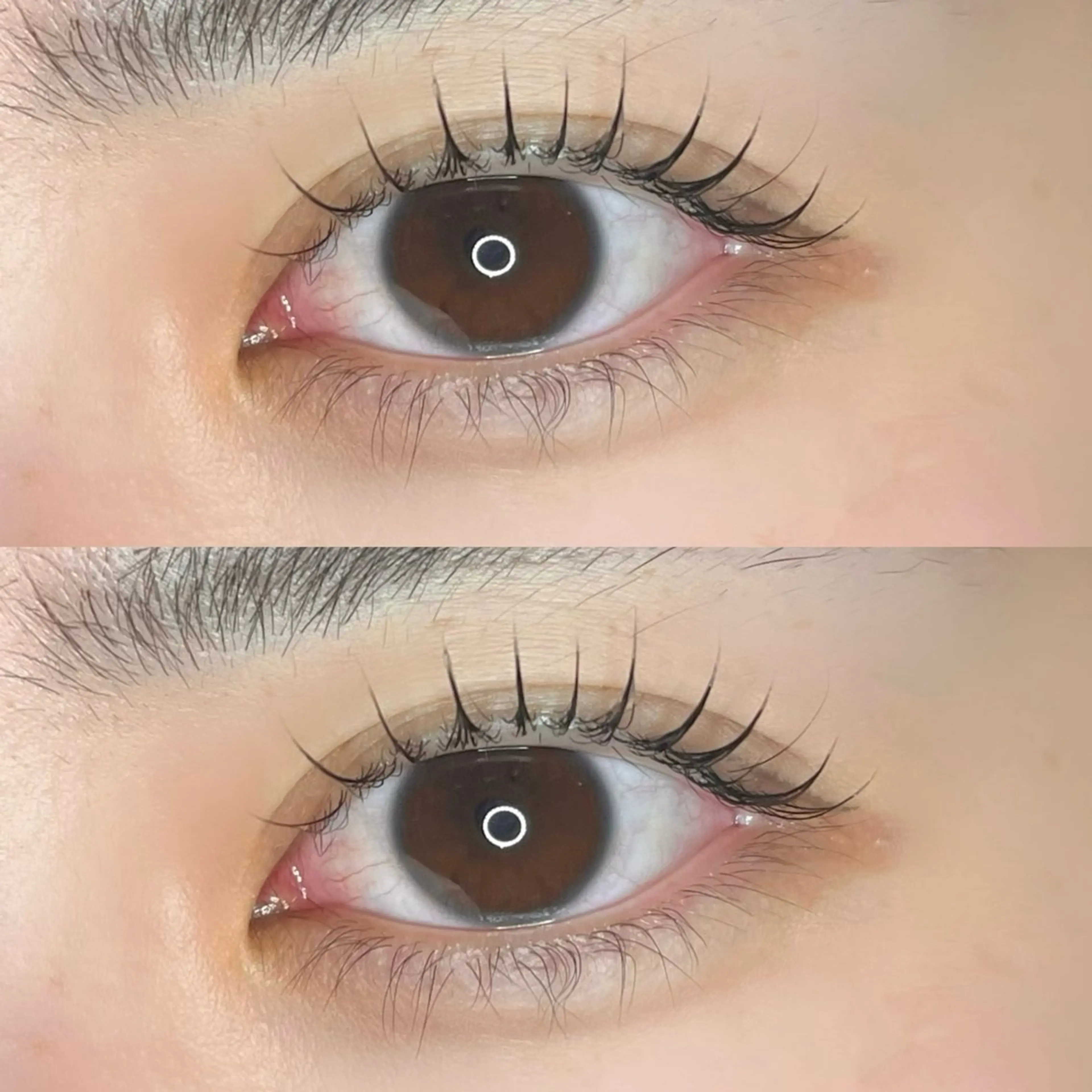 【💎新規💎】⭐︎韓国風束間まつげパーマ⭐︎の写真