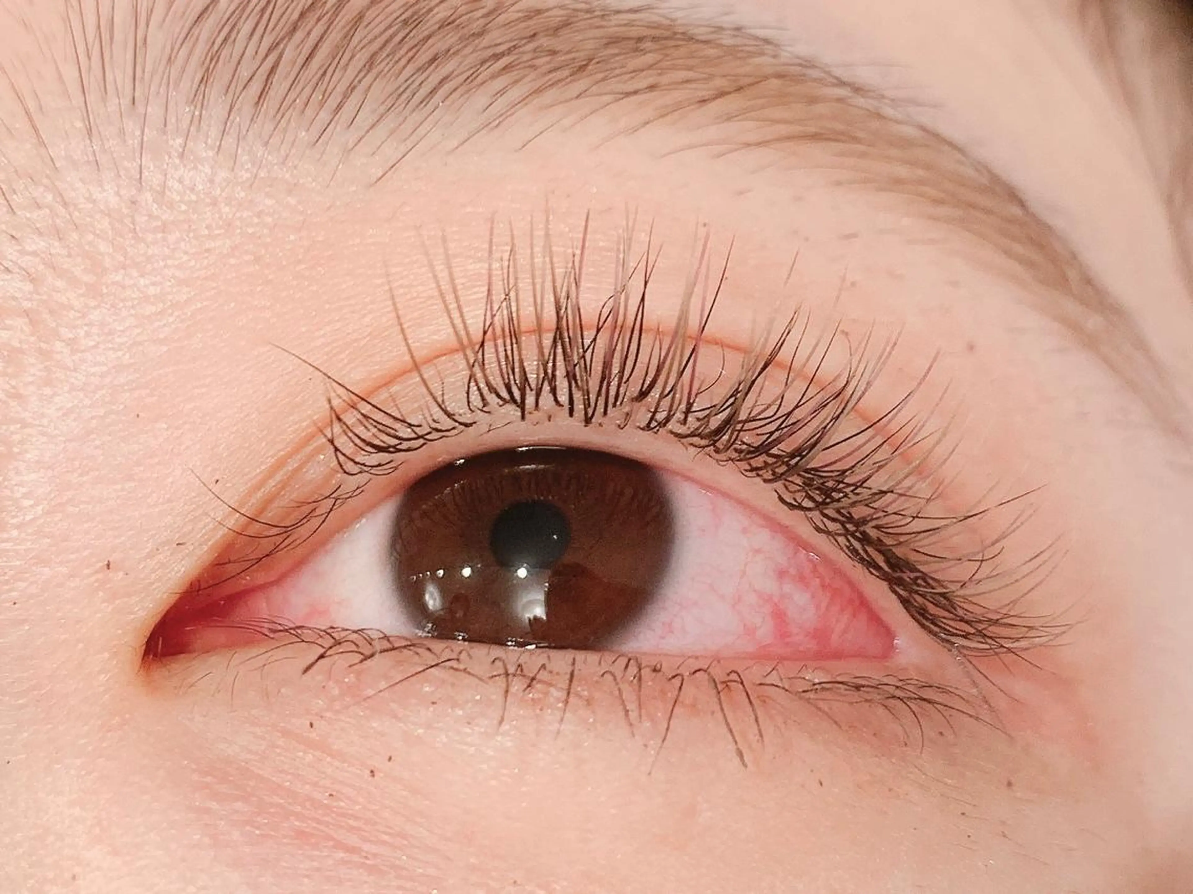 【ご新規様クーポン】オフ込み・フラットラッシュ100本🫧の写真