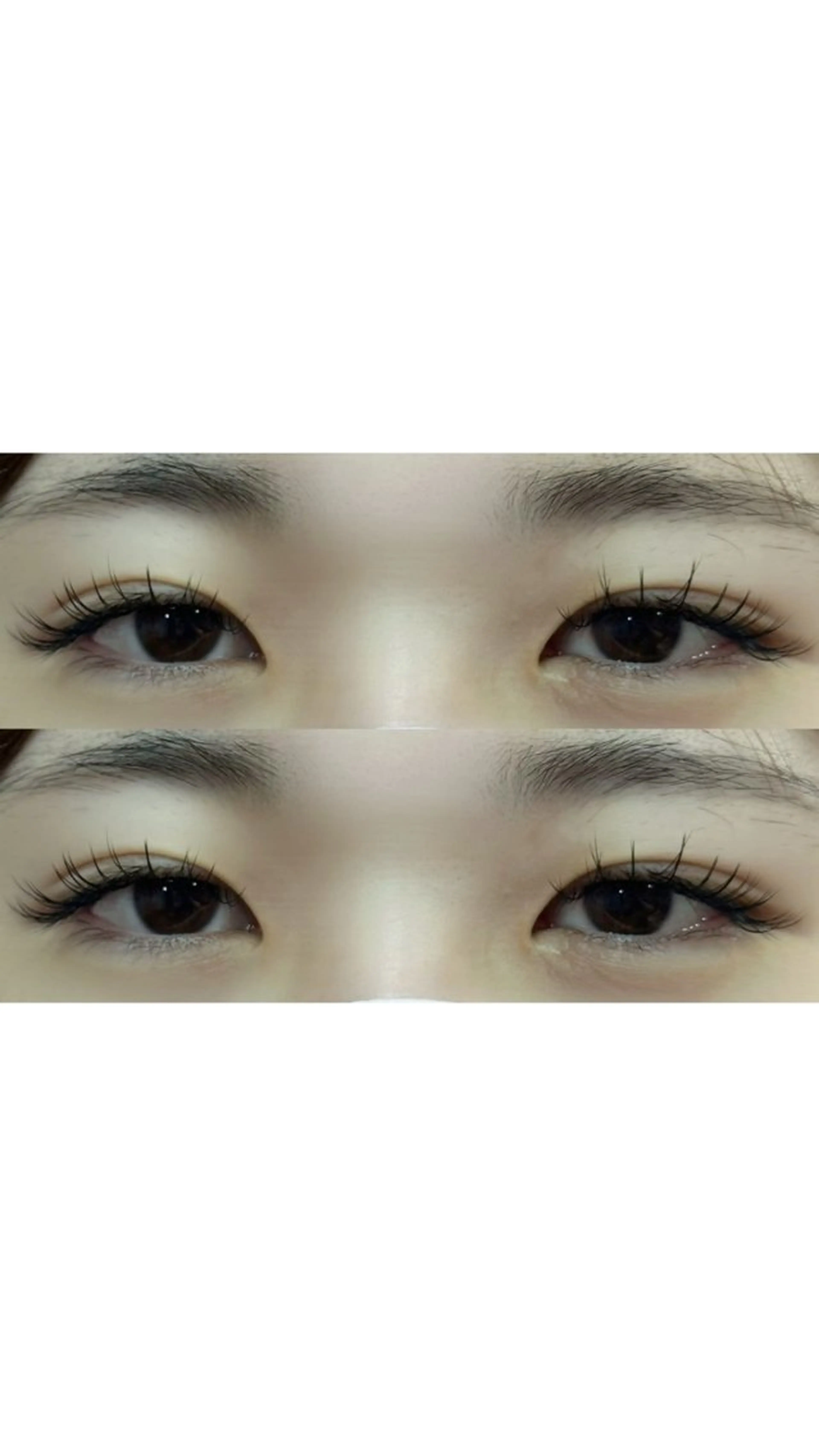 マツエク・マツパ Cカール 藤原 歩香の眉毛・アイブロウイメージ