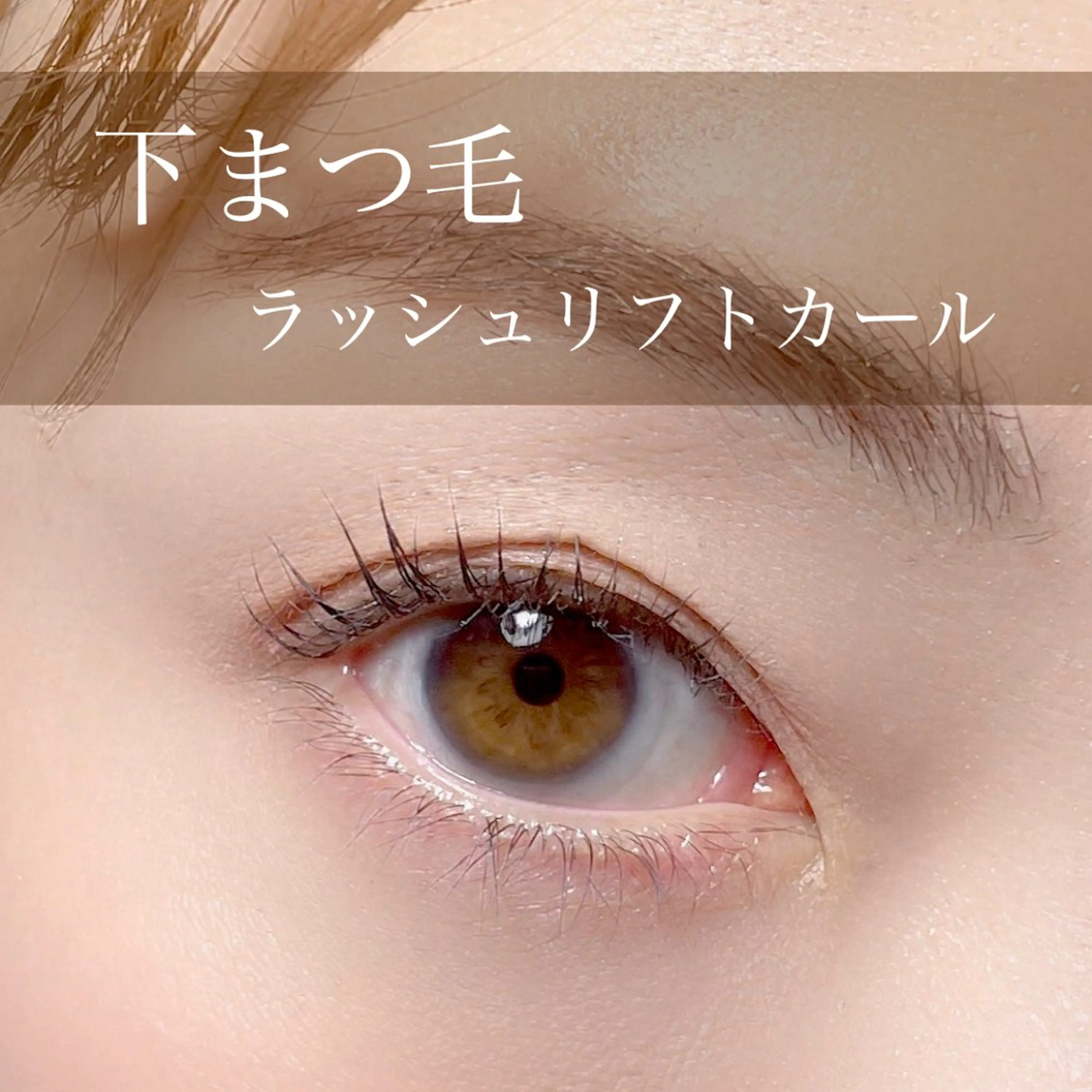 下まつ毛　ラッシュリフトカールの写真