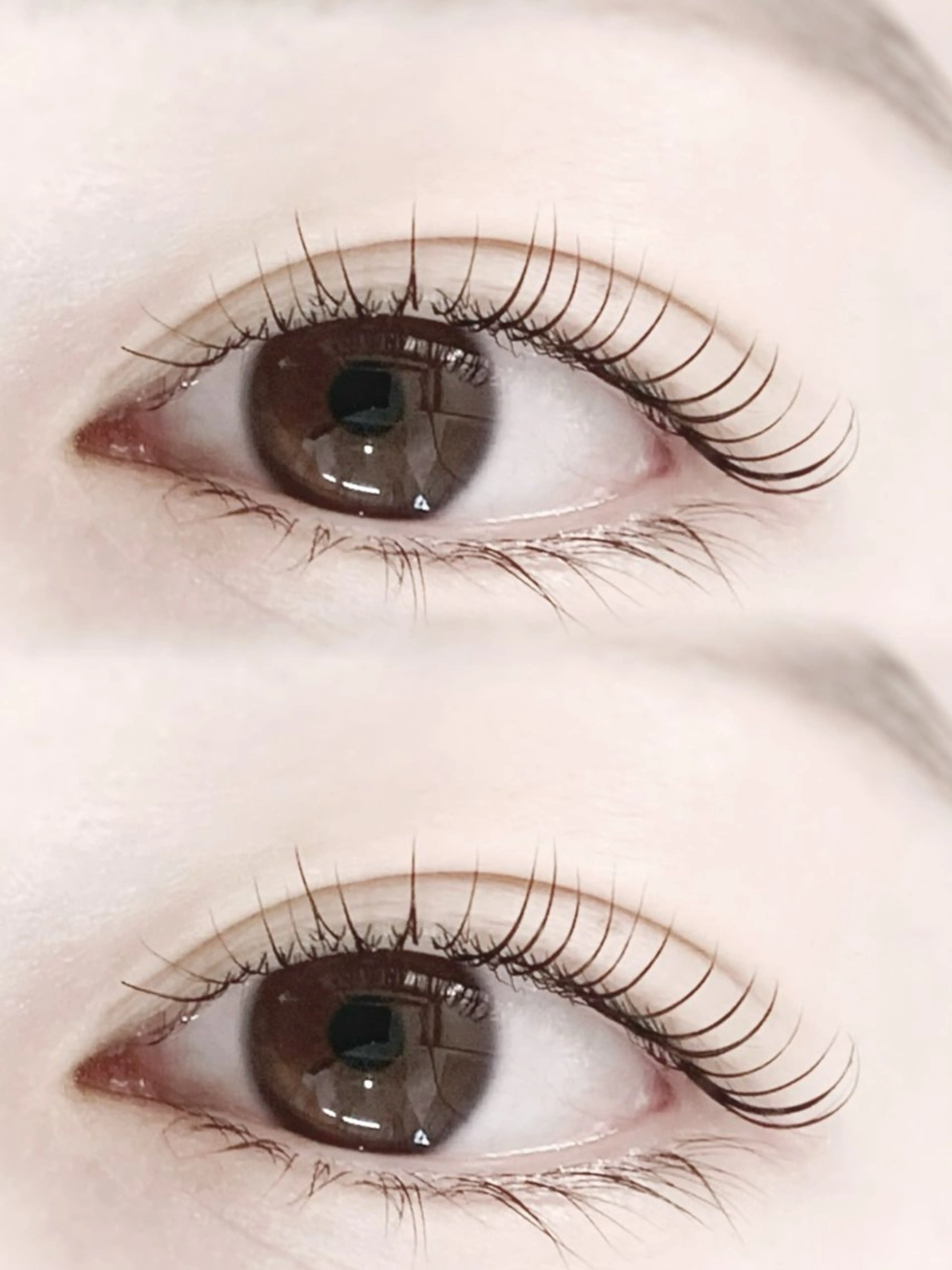 マツエク・マツパ マツパ M🐰 上本町/谷九のマツエク・マツパデザイン