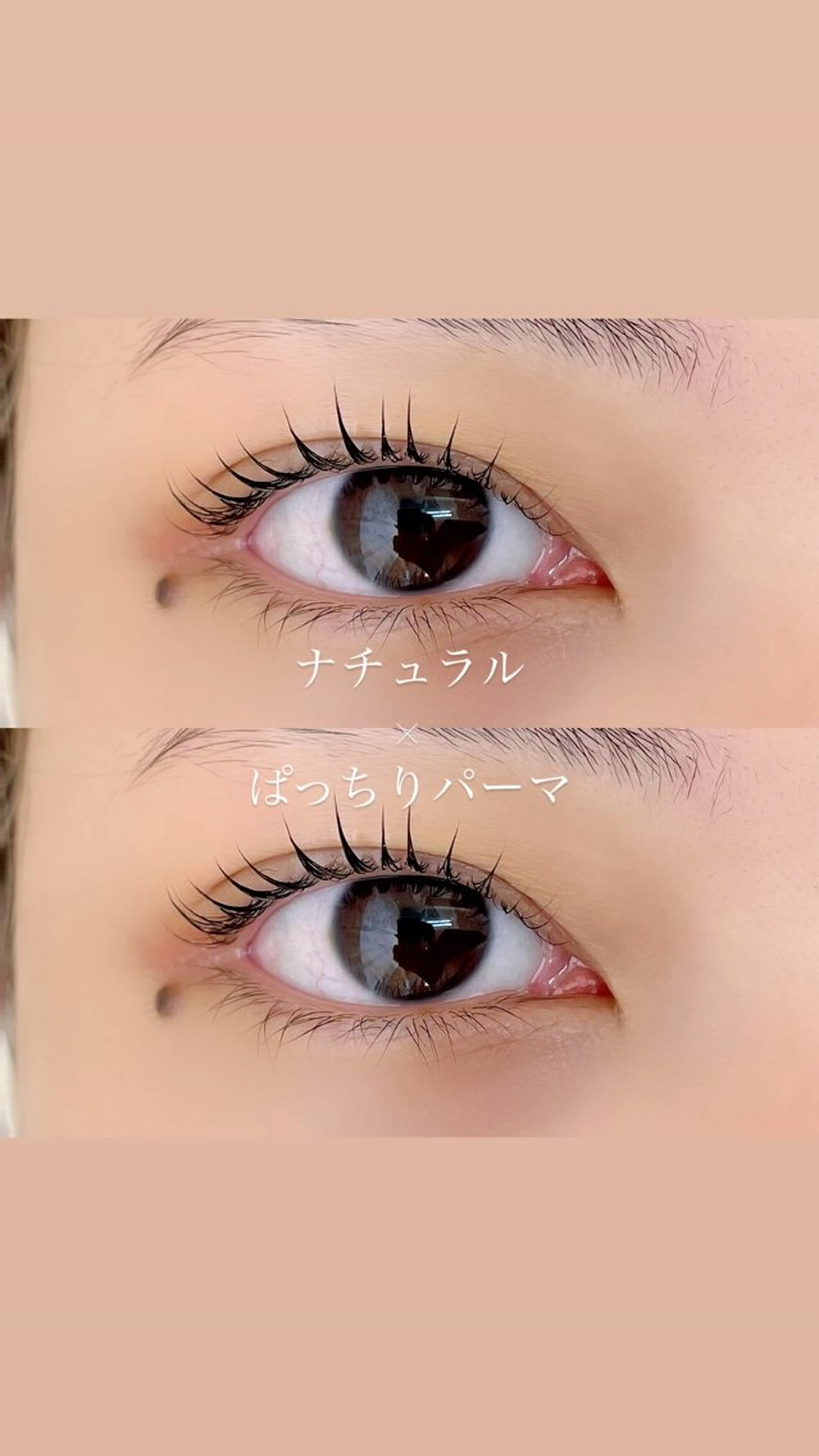 マツエク・マツパ 一重×まつ毛パーマ 藤木 萌永のマツエク・マツパデザイン