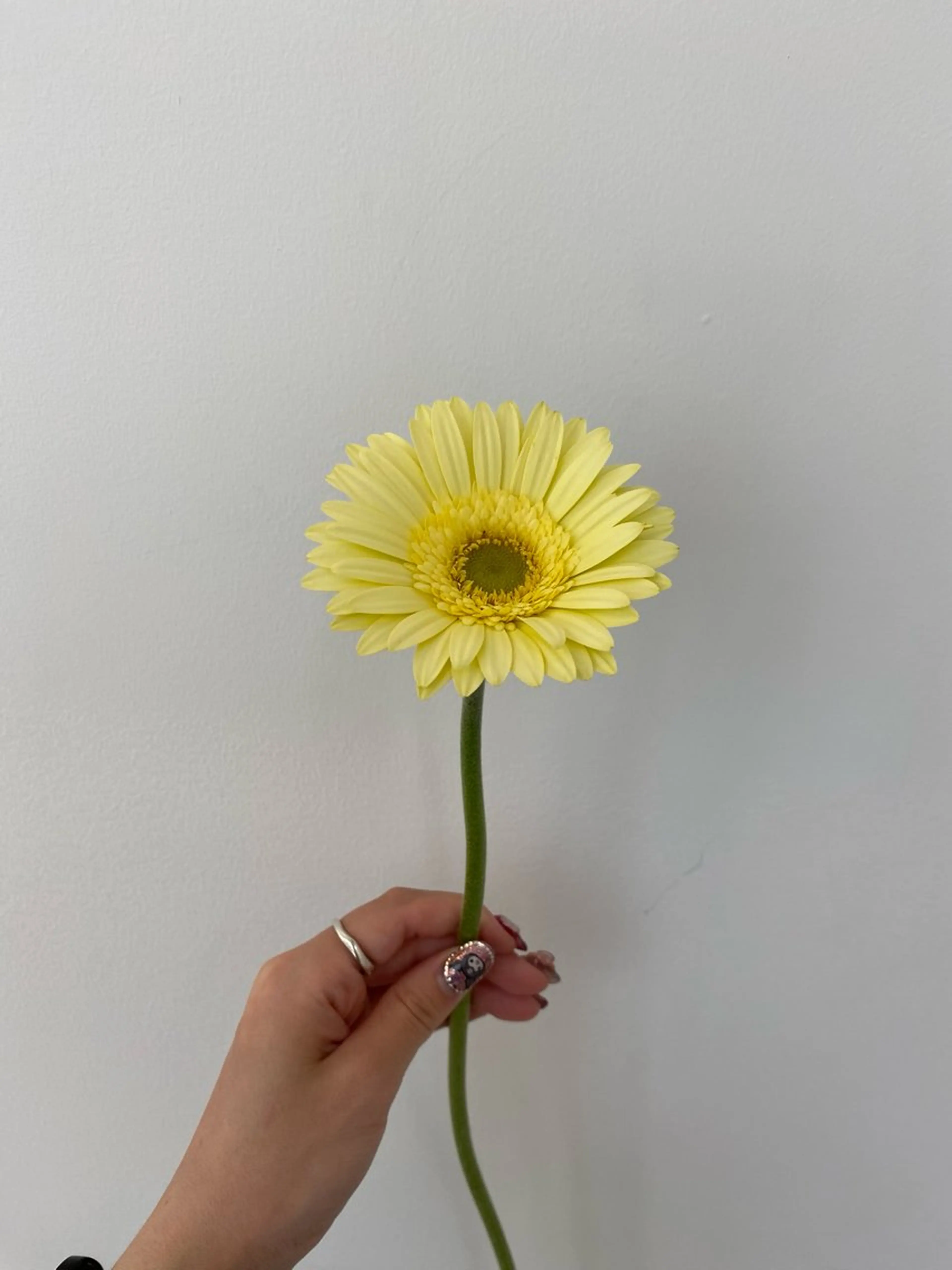 カット ヘアカラー トリートメント 🌻花屋併設🌻濱 幸帆のヘアスタイル