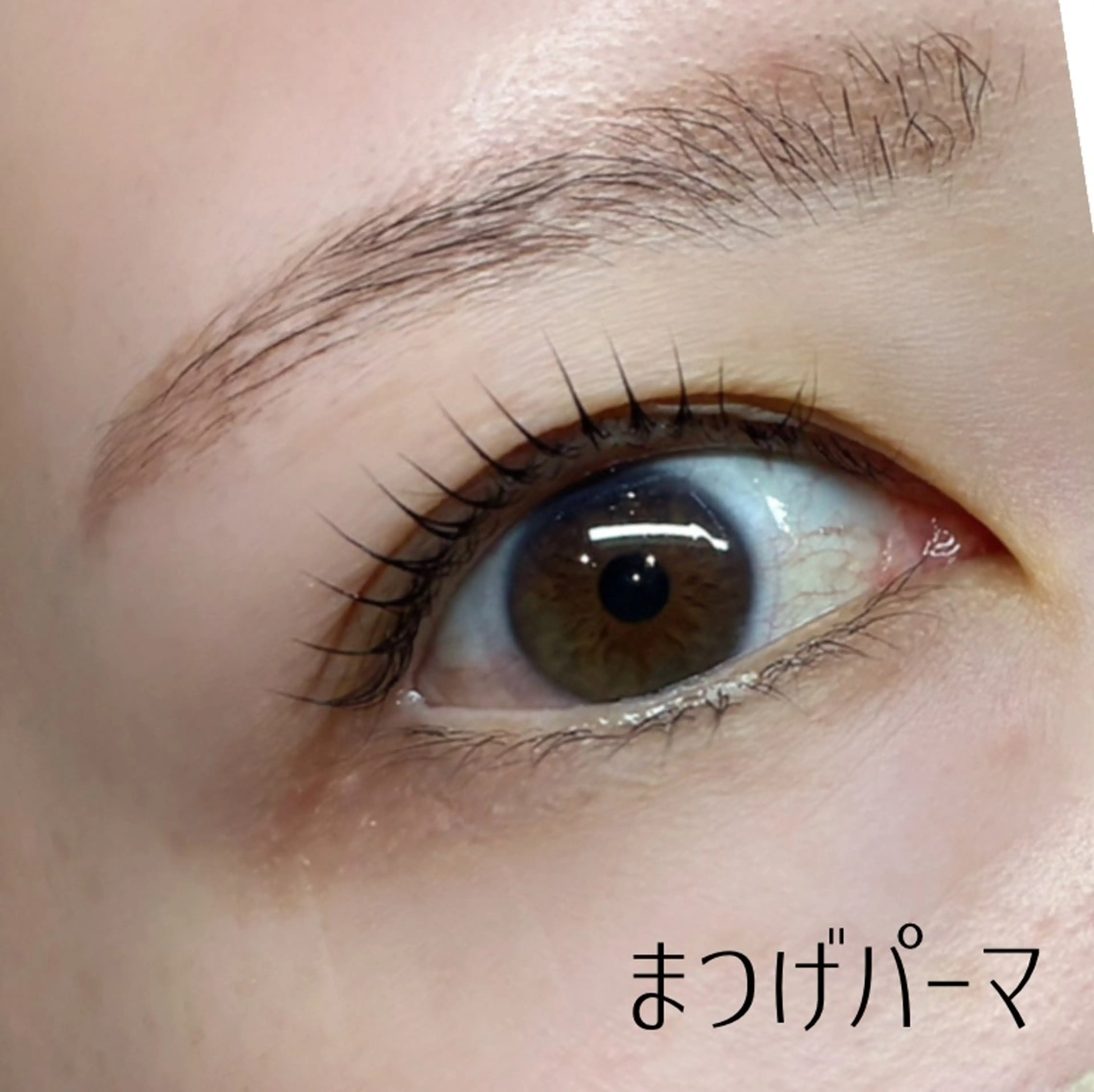 【⭐️人気No.2】まつげパーマ♪立ち上げ、カールどんなデザインでも◎アイシャンプー、コーティング仕上げ付き☺︎の写真