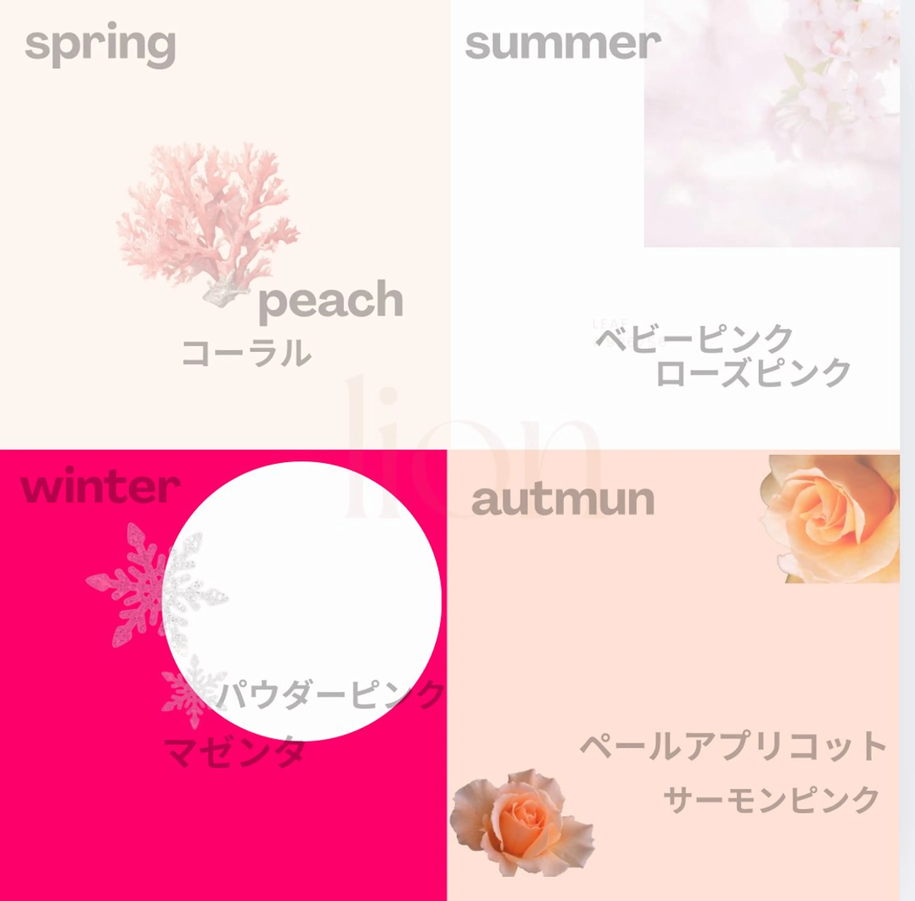 パーソナルカラー lionのその他イメージ