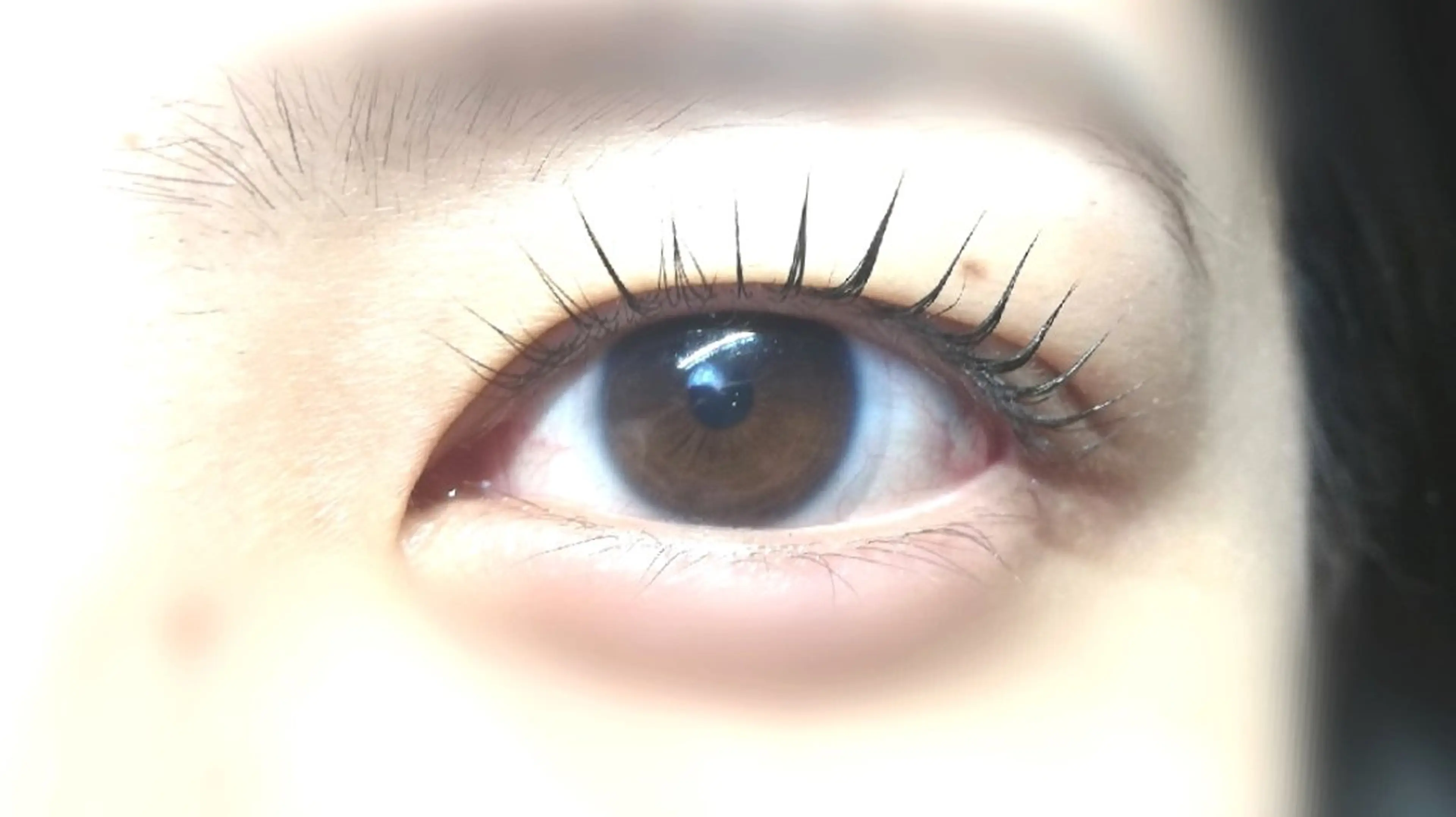 マツエク・マツパ マツパ angelux 所属・完全個室サロン🌹 angelux🌹のマツエク・マツパデザイン