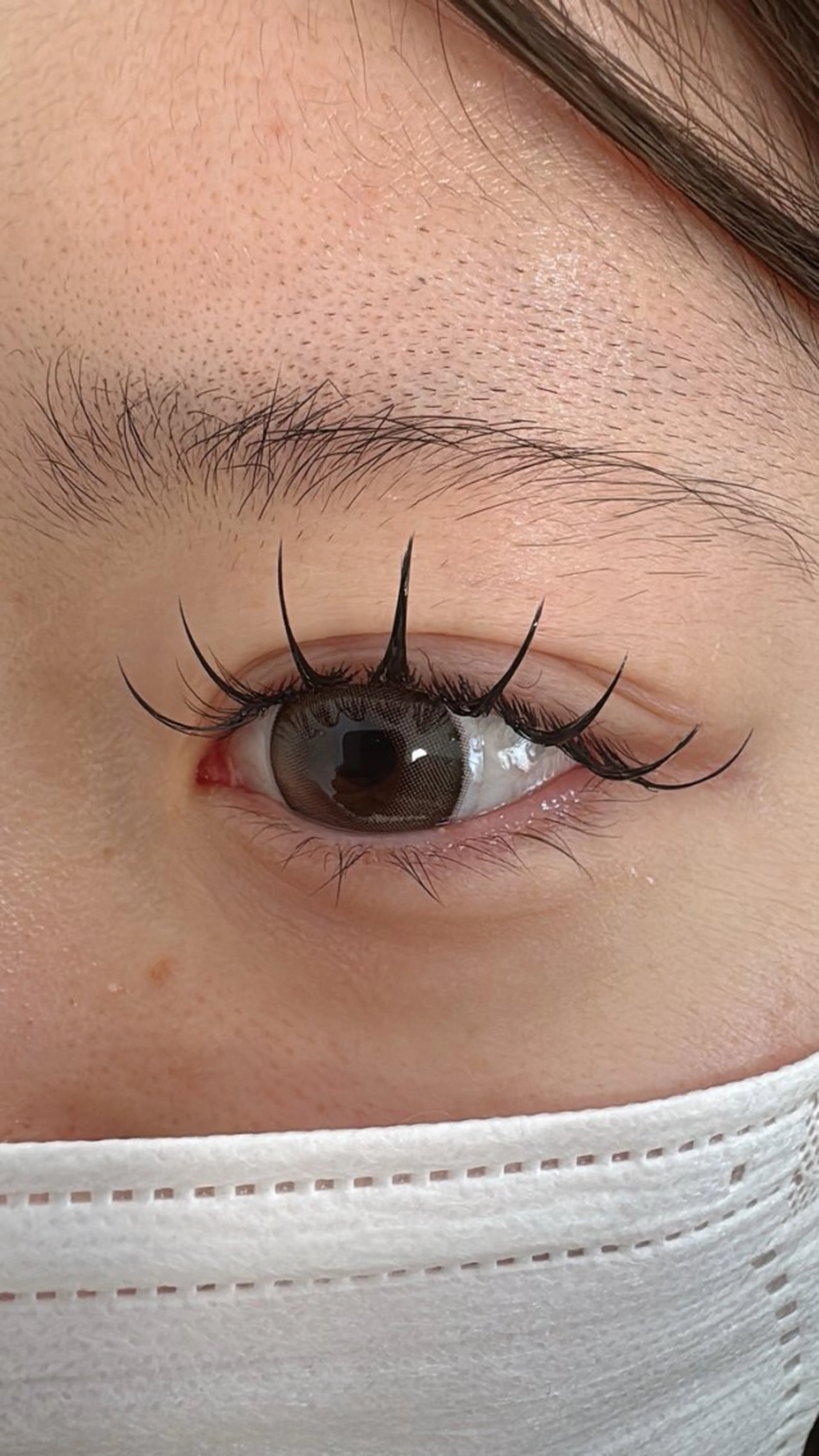 マツエク・マツパ 束感まつ毛 フラットラッシュ パリジェンヌラッシュリフト マツパ 池袋💖 チルザルトサロンのマツエク・マツパデザイン