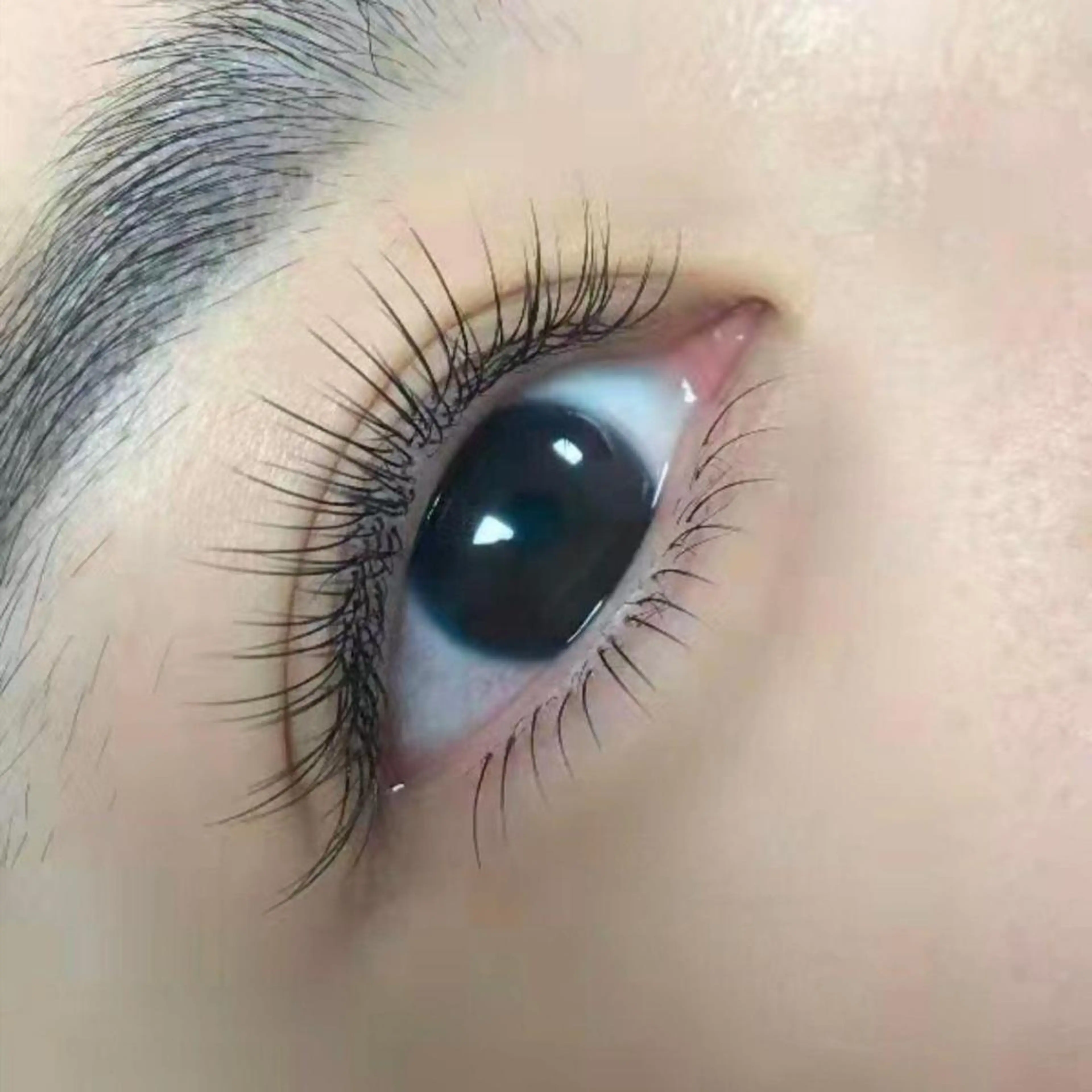 マツエク・マツパ 付け放題 フラットラッシュ ナチュラル Lash by foi新宿のマツエク・マツパデザイン