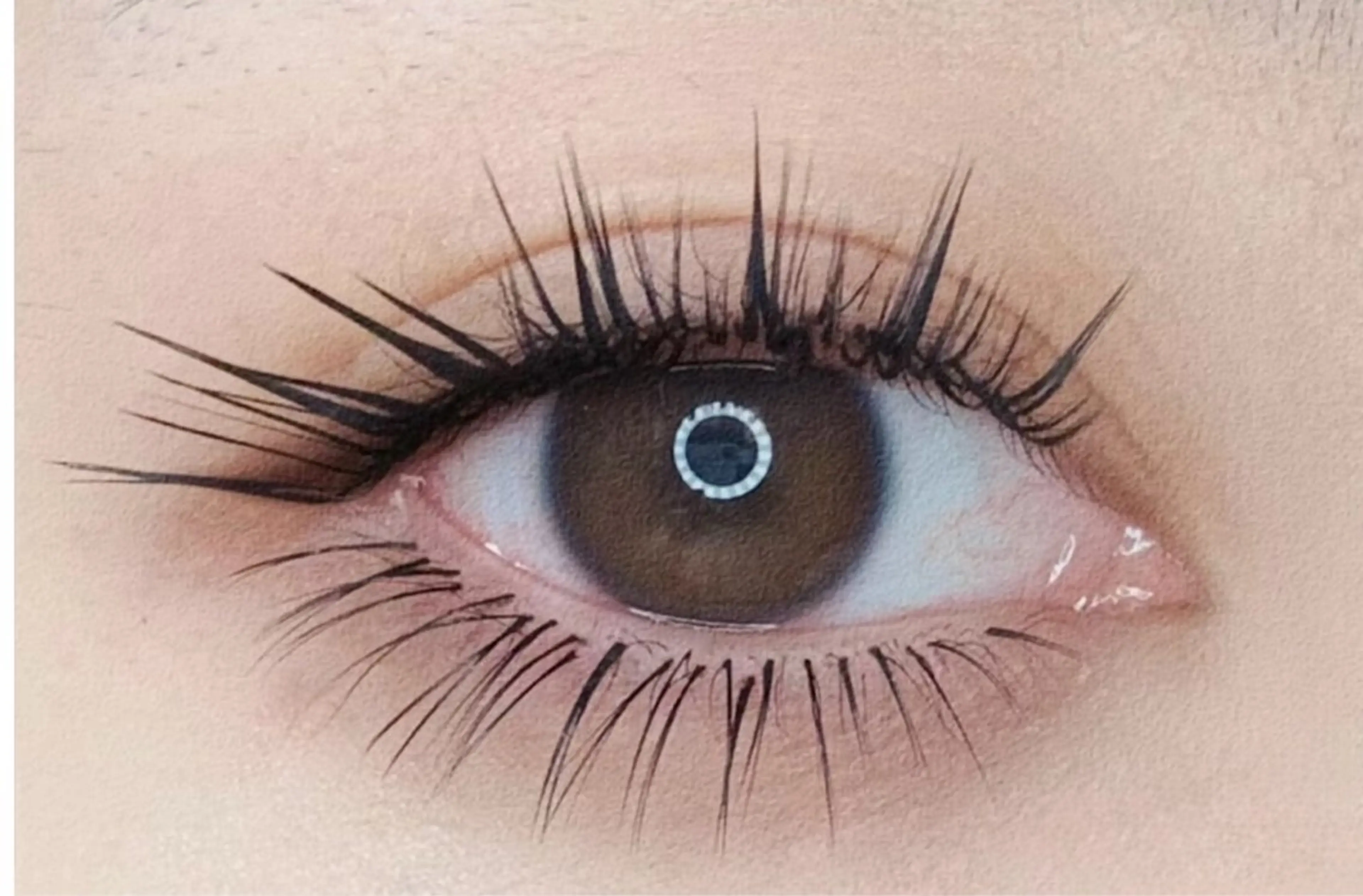 マツエク・マツパ マツエク A.MEYELASH SALON大久保店のマツエク・マツパデザイン