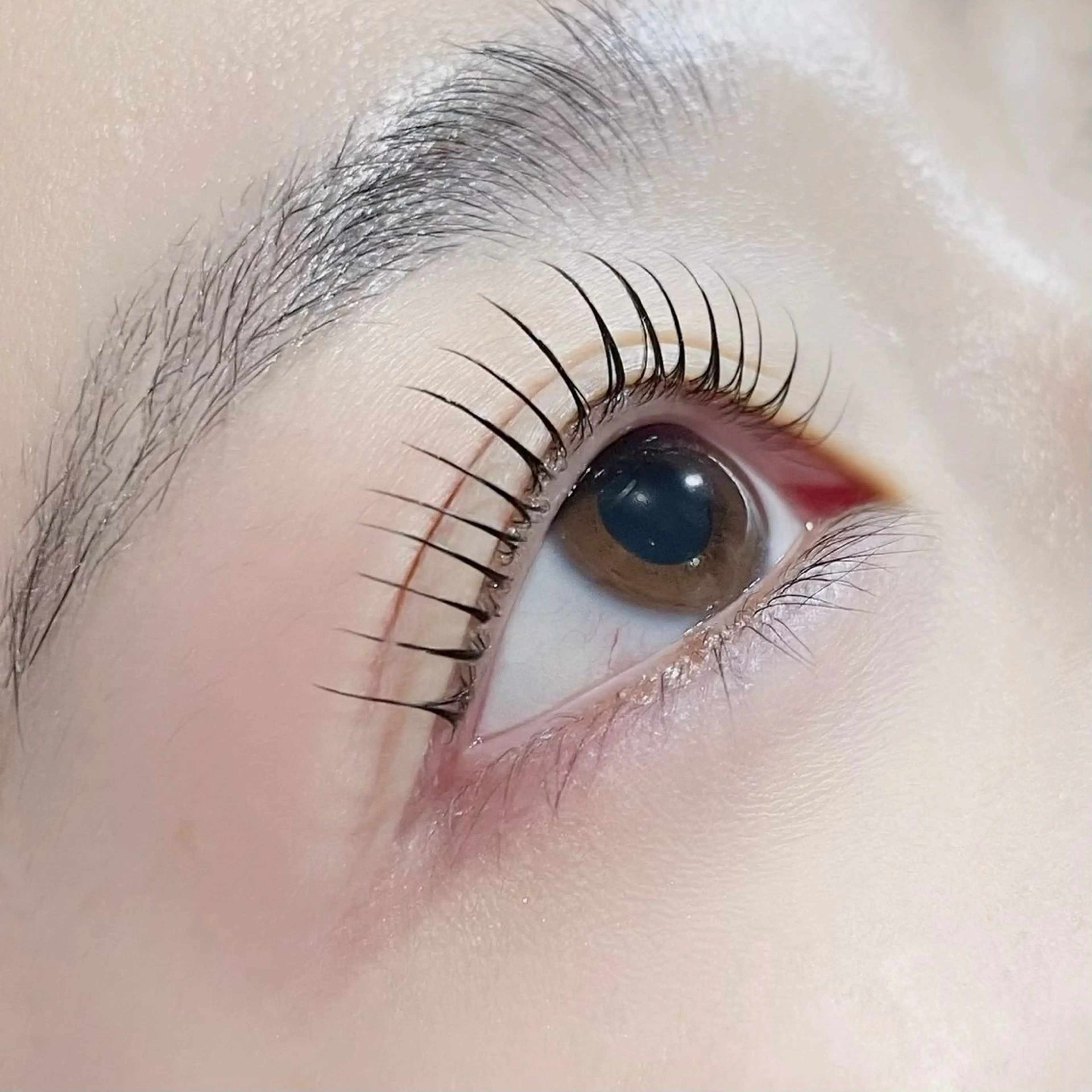 マツエク・マツパ LUNOA momo🎵のマツエク・マツパデザイン