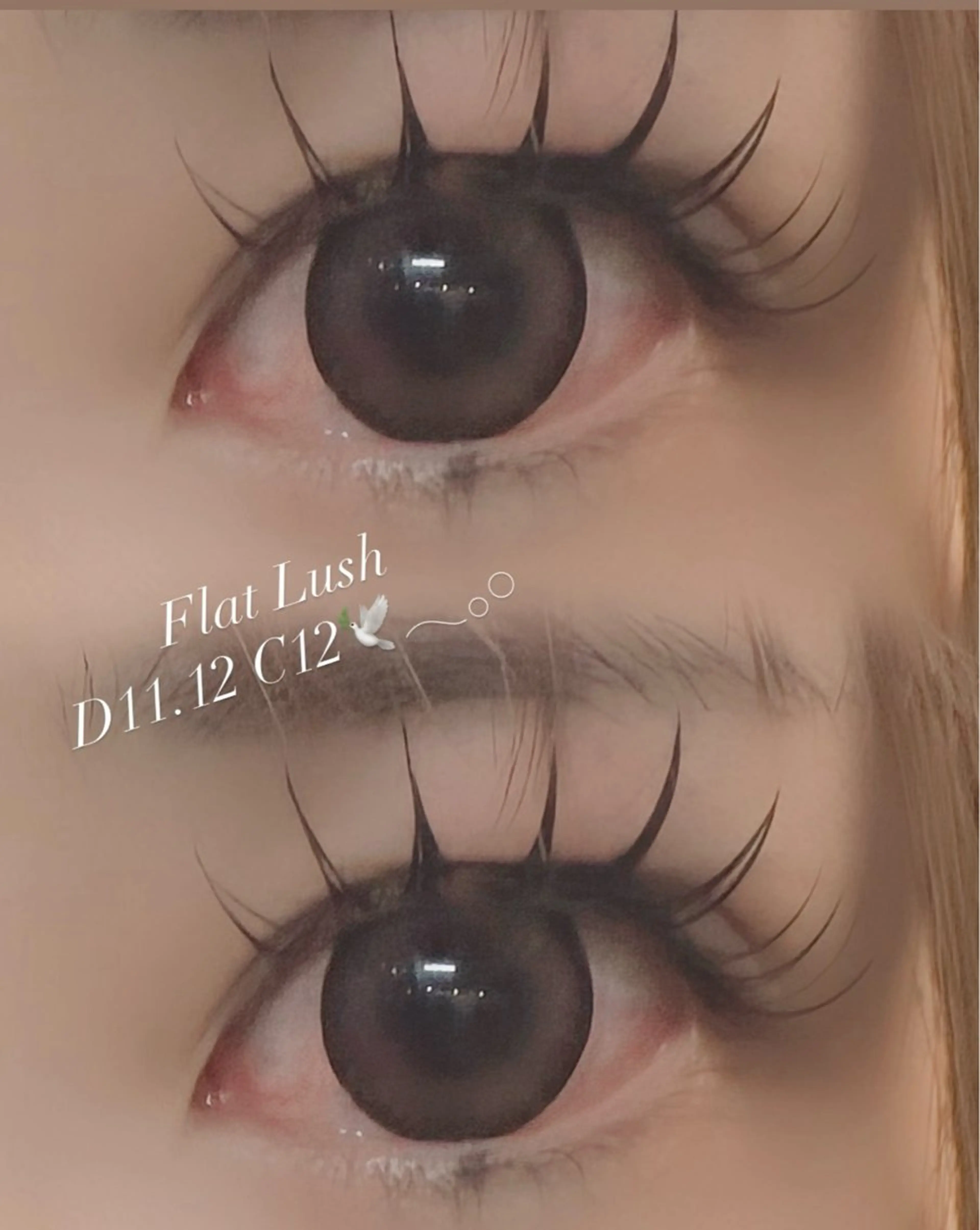 マツエク・マツパ マツエク Tripod所属・Tripod しおんのマツエク・マツパデザイン