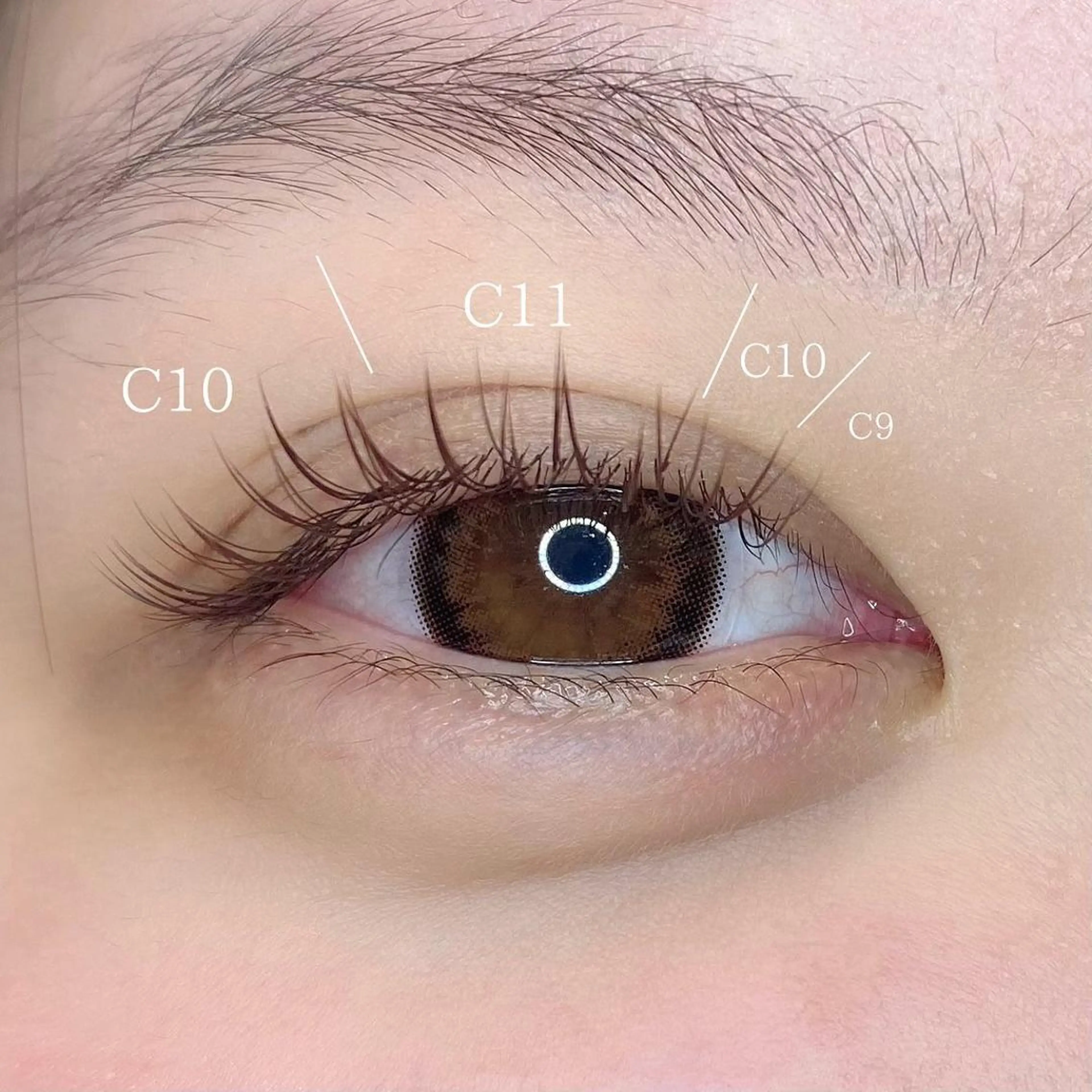 マツエク・マツパ KURUMI🦋 まつエクまつパ美眉のマツエク・マツパデザイン