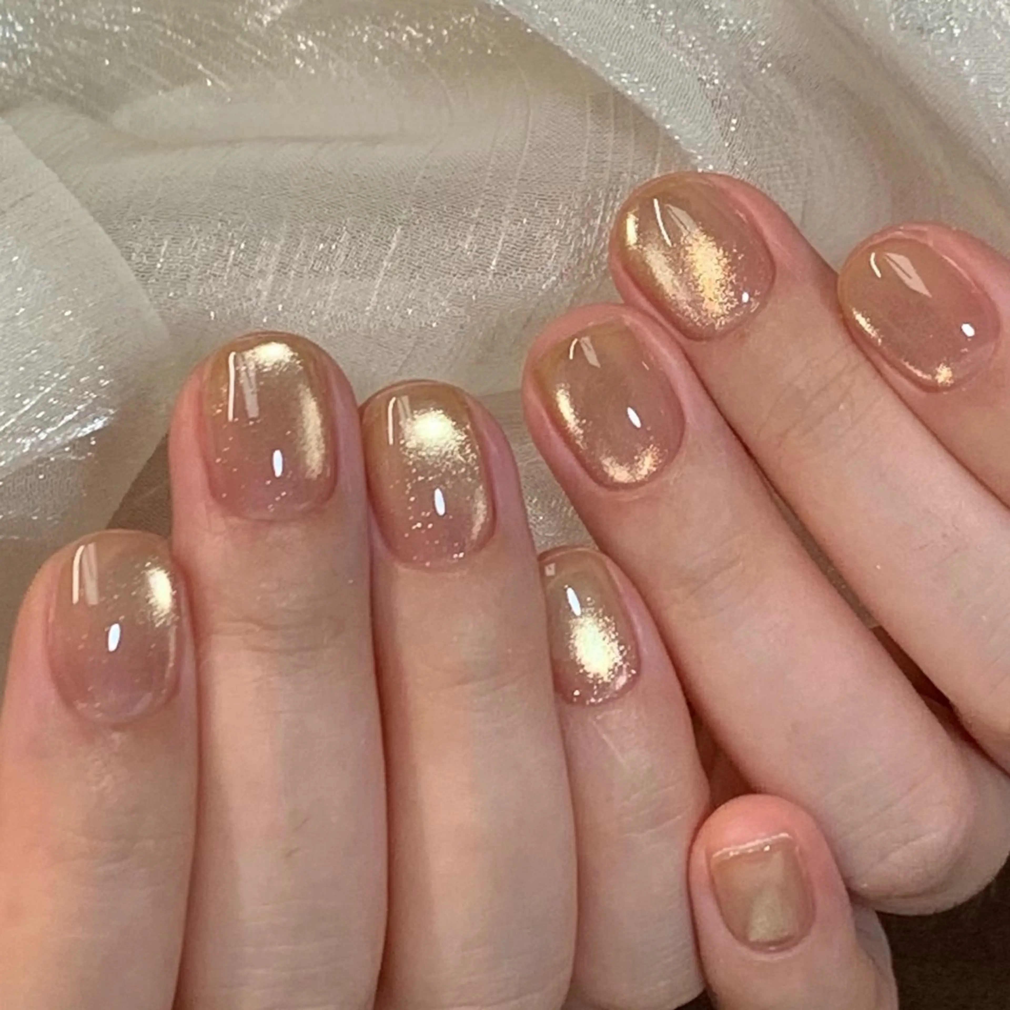 マグネットの写真