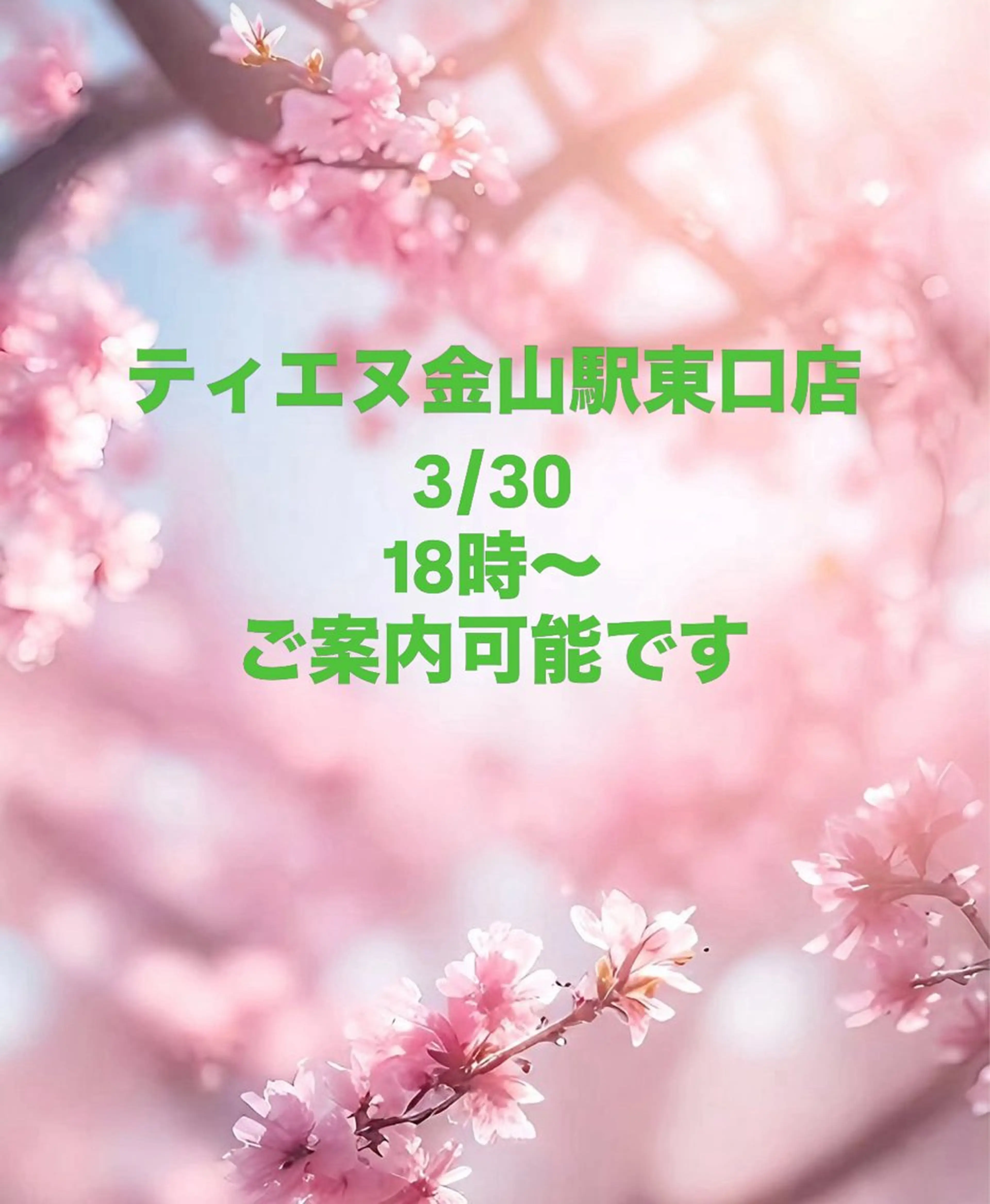 ネイル ハンドネイル ティーエヌ 金山駅東口店のネイルデザイン