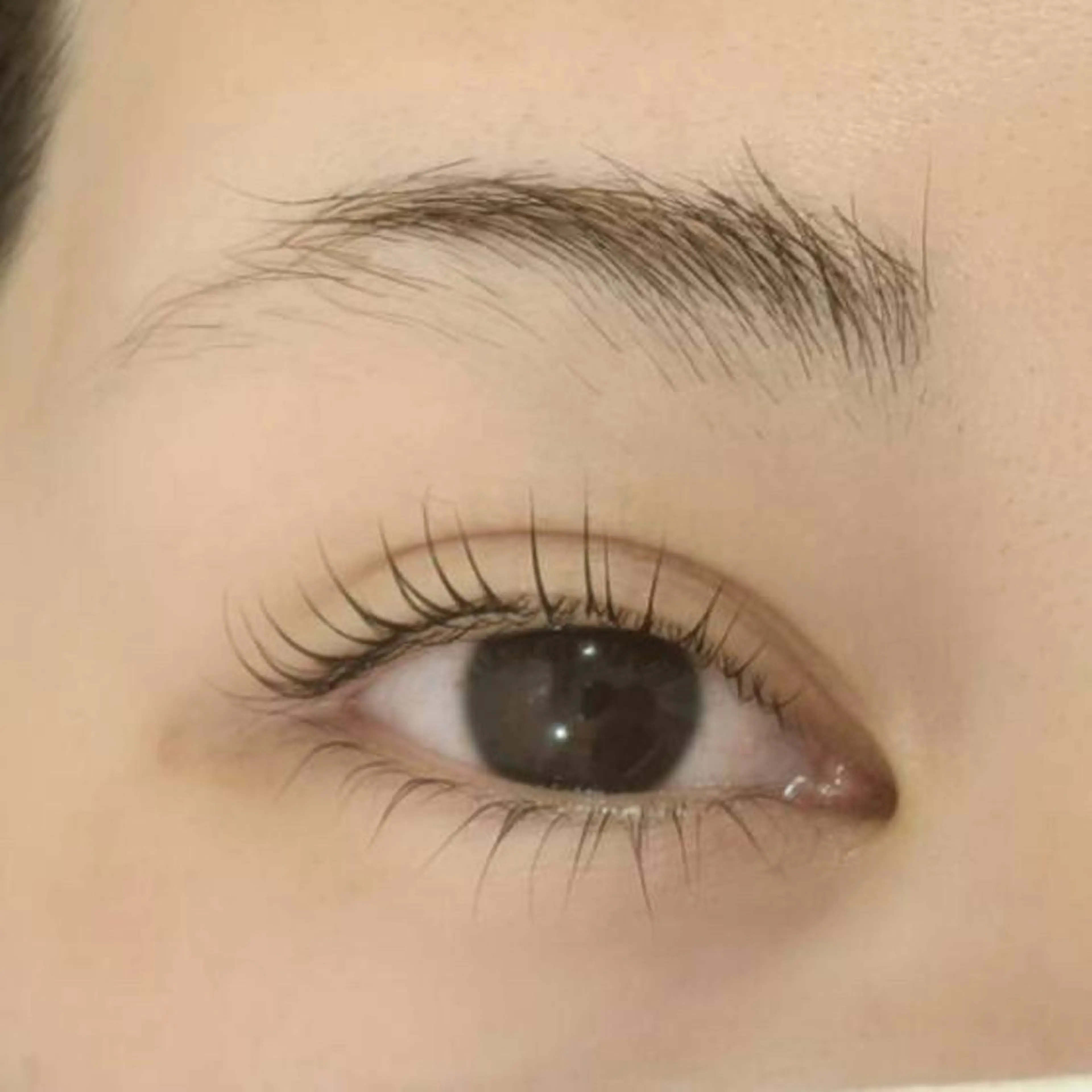 マツエク・マツパ eyelash Minetteのマツエク・マツパデザイン