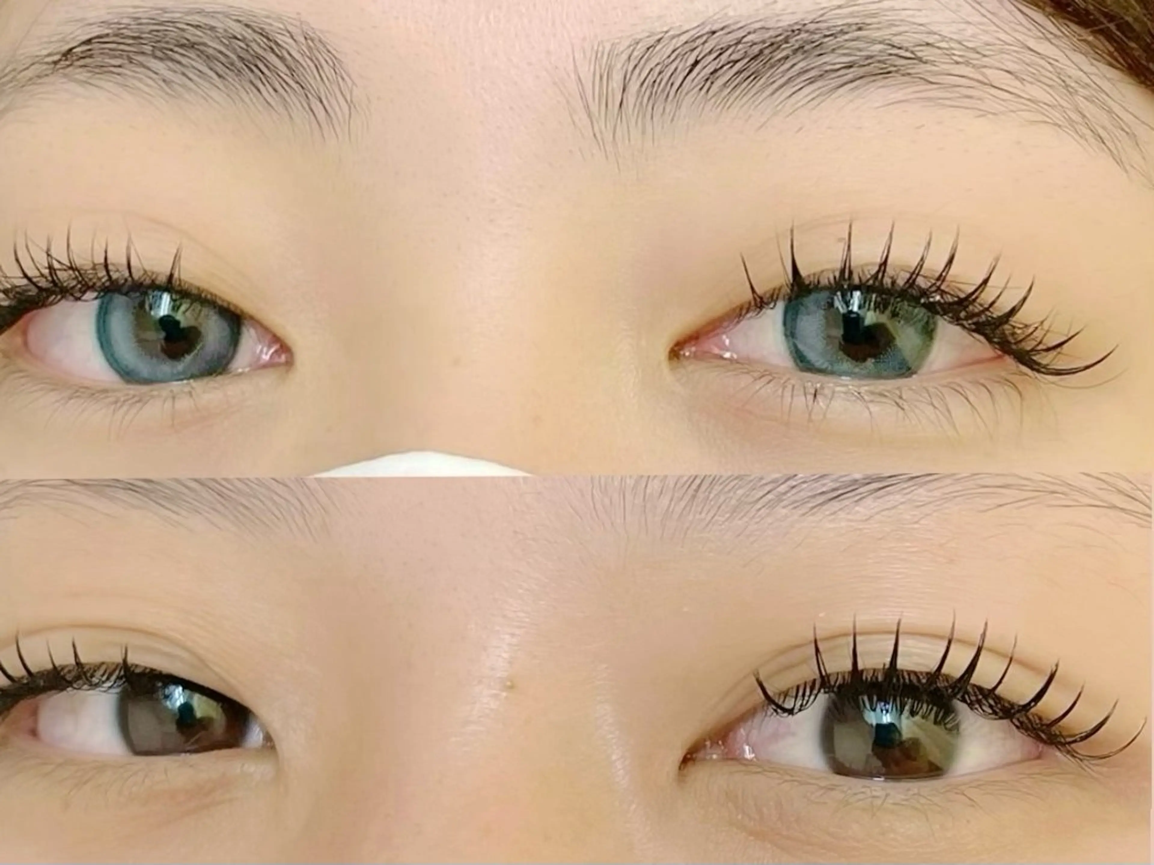 フラットラッシュ100本の写真