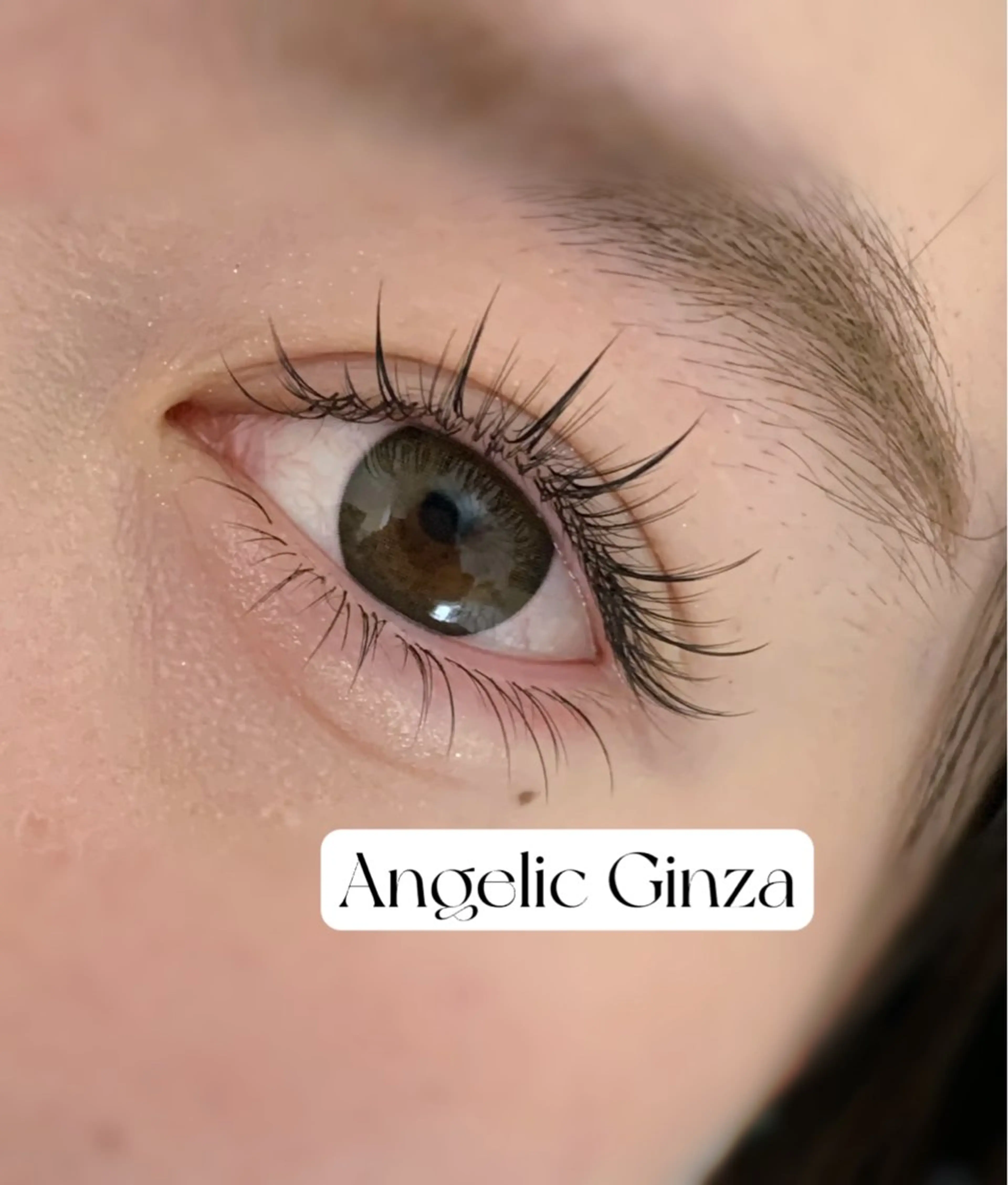 マツエク・マツパ Angelic Hira ♥🧸のマツエク・マツパデザイン