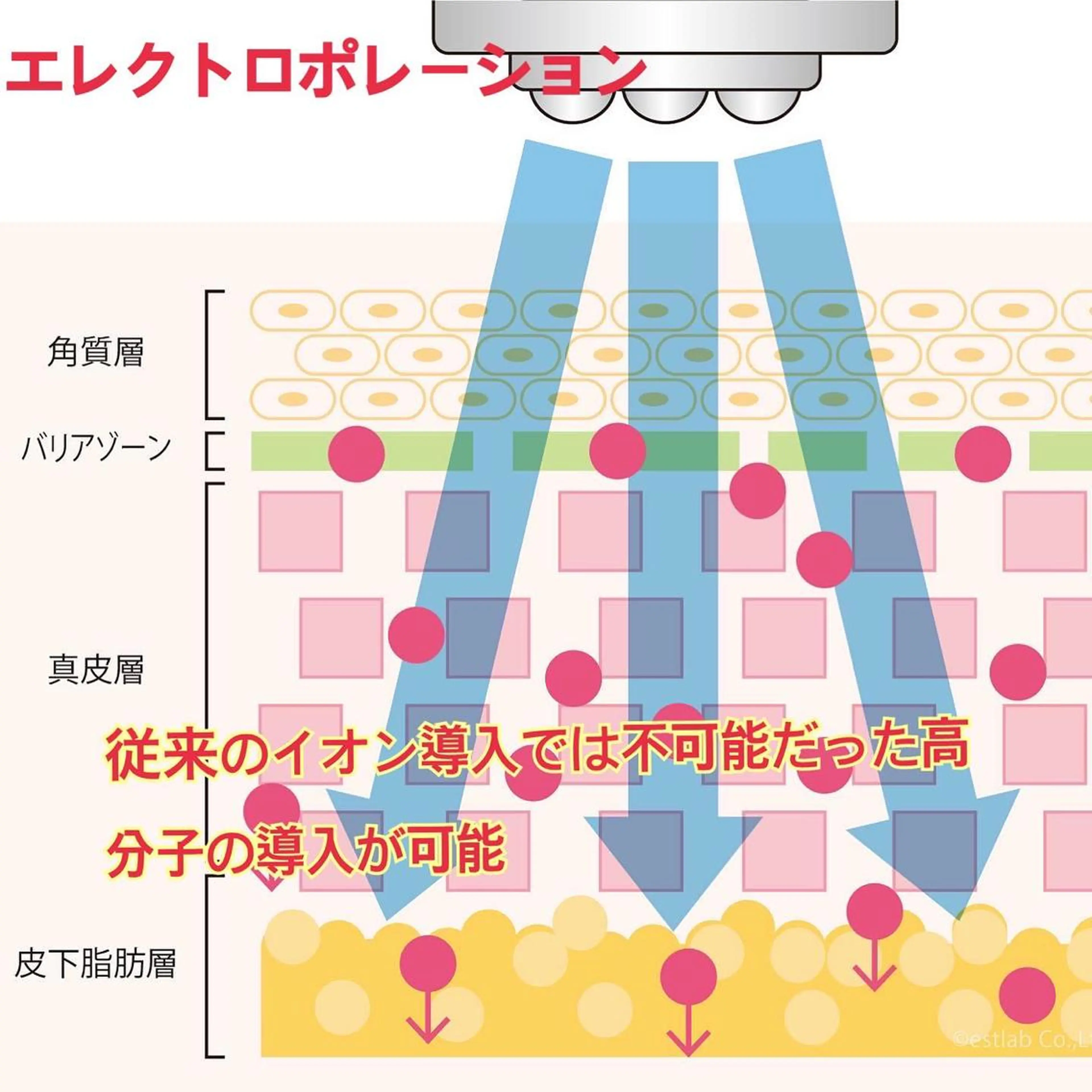 小顔・ツルツル素肌 ハリステリアのエステ・リラクイメージ