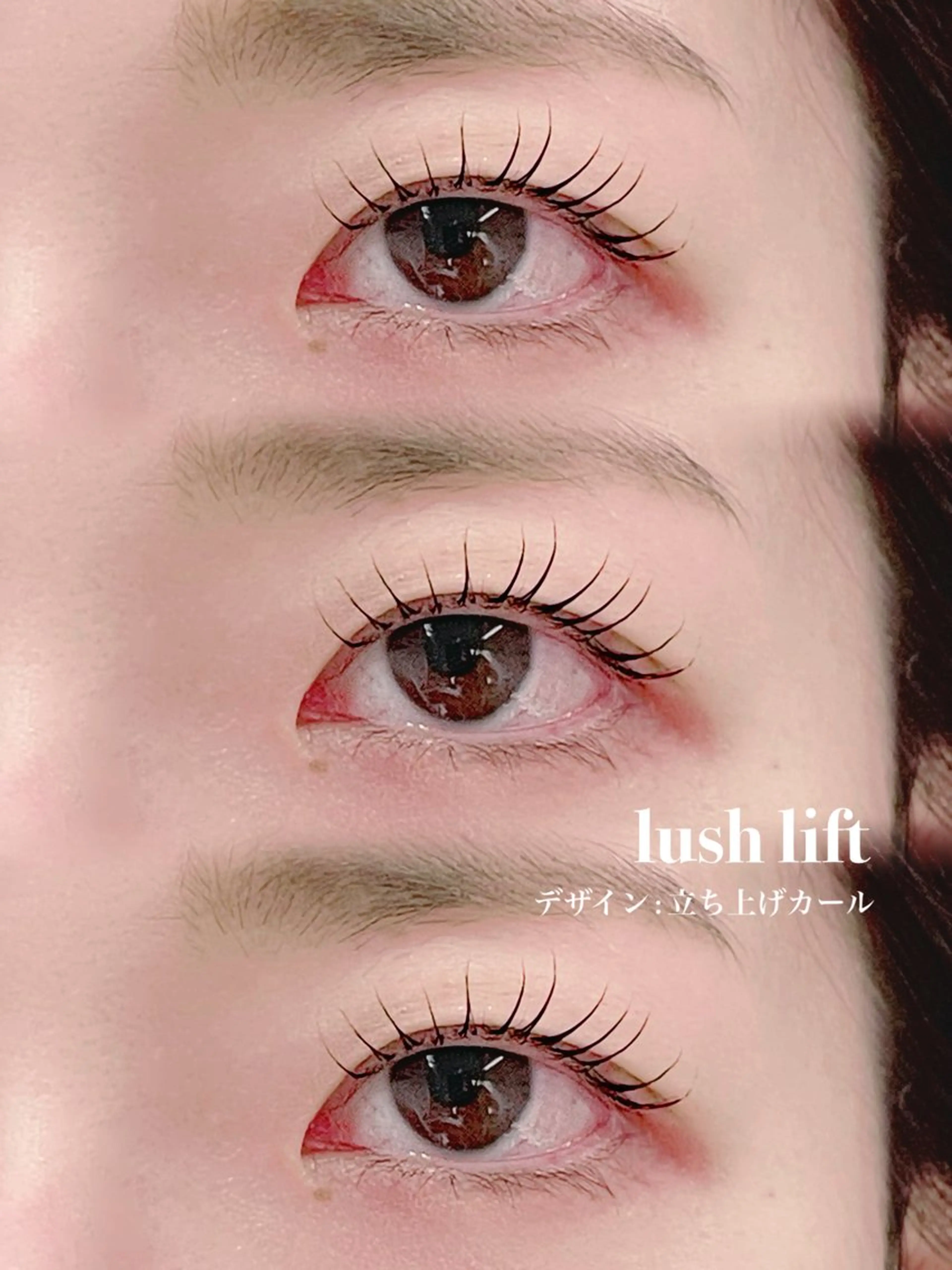 【本日限定価格‼️】まつ毛パーマ〈上〉の写真