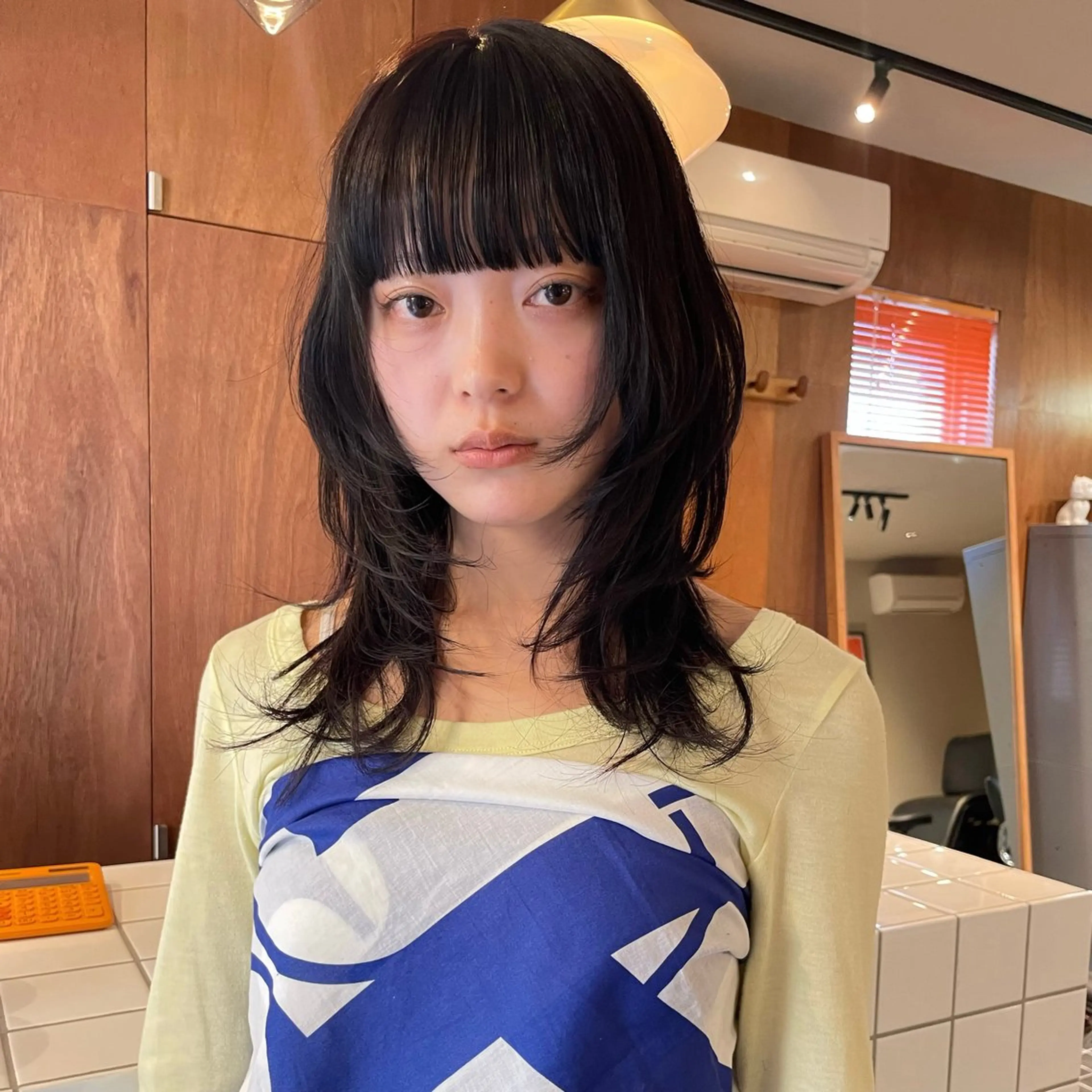 ミディアム カラー 黒髪 透明感カラー ハッシュカット レイヤーカット ニュアンスパーマ🪿 透明感カラー岩波ゆいのヘアスタイル