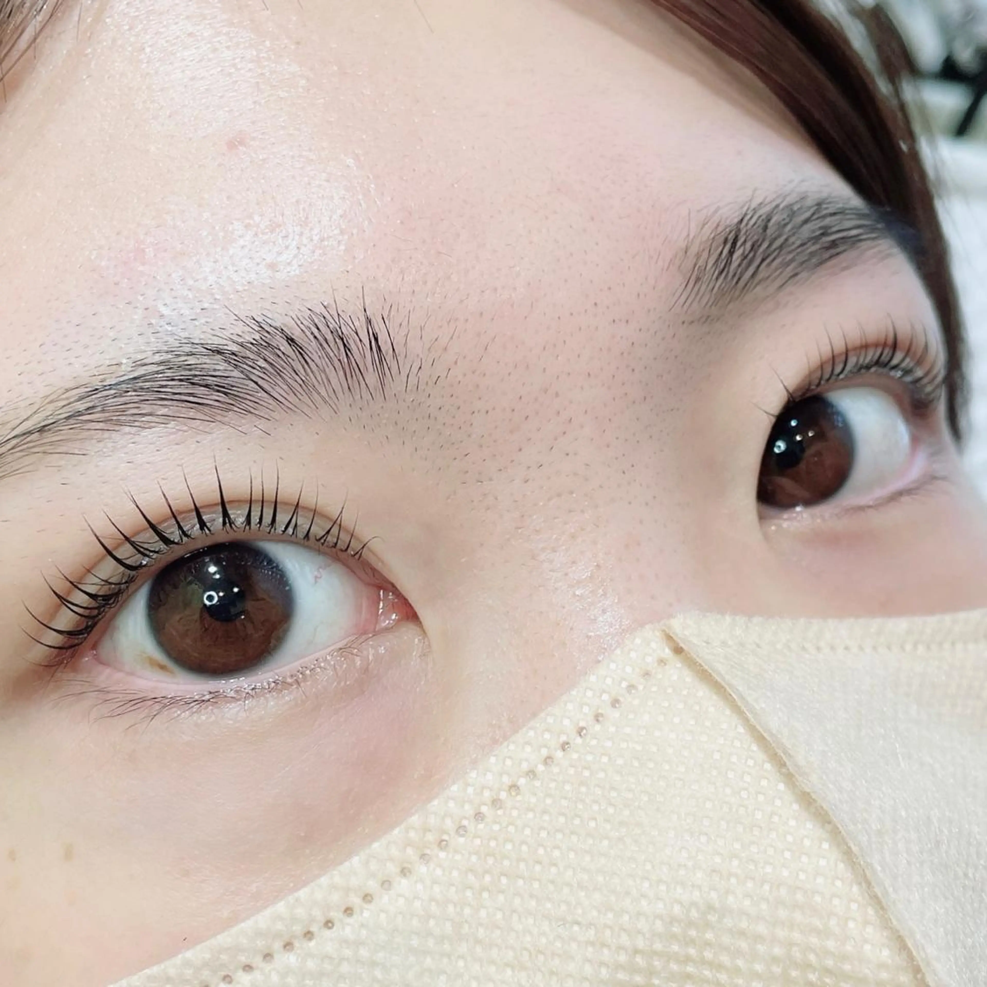 マツエク・マツパ ナチュラル パリジェンヌラッシュリフト マツパ SEALA 高石の眉毛・アイブロウイメージ