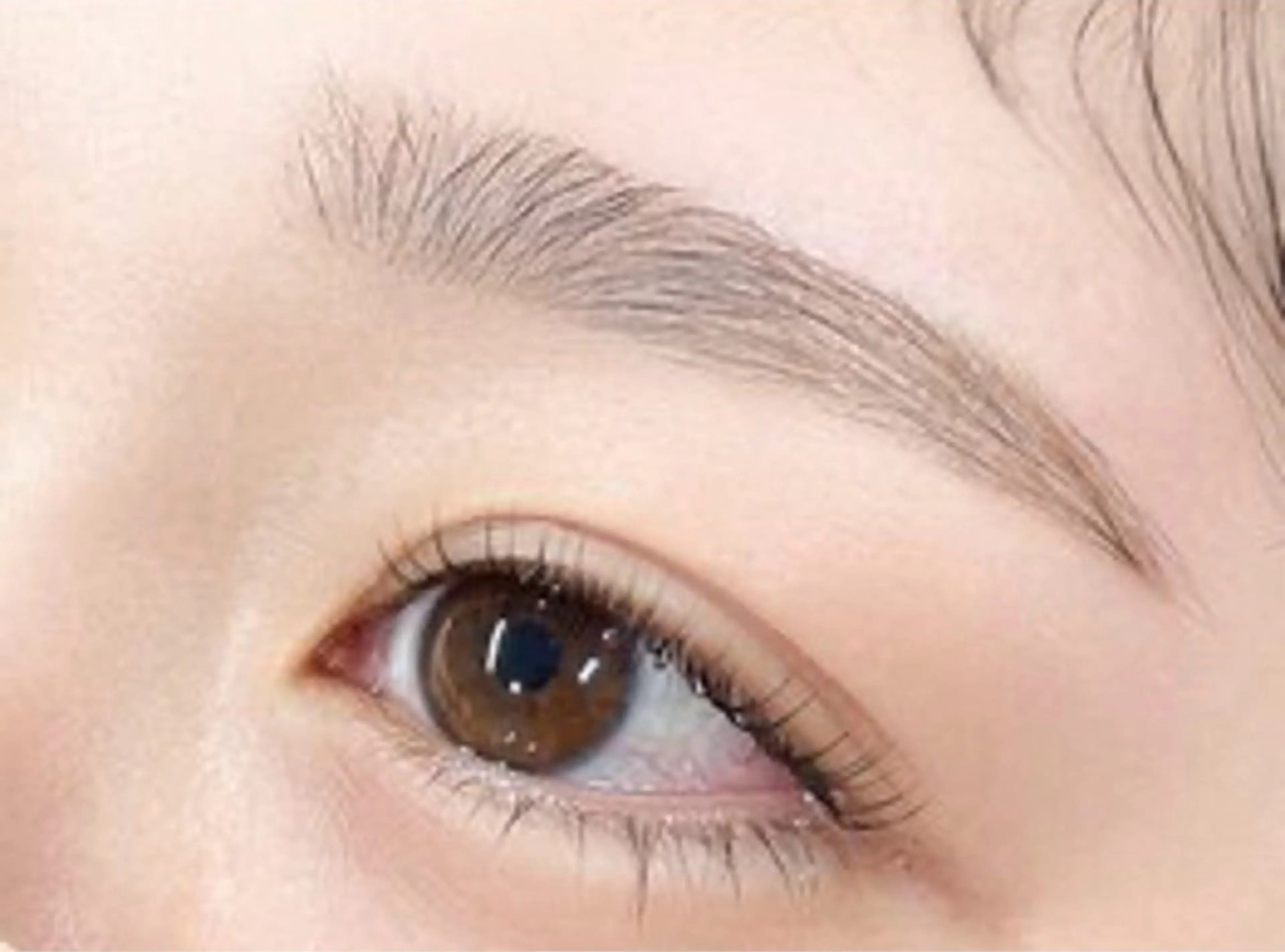 アイブロウ ecarg 表参道店 kako🥣の眉毛・アイブロウイメージ