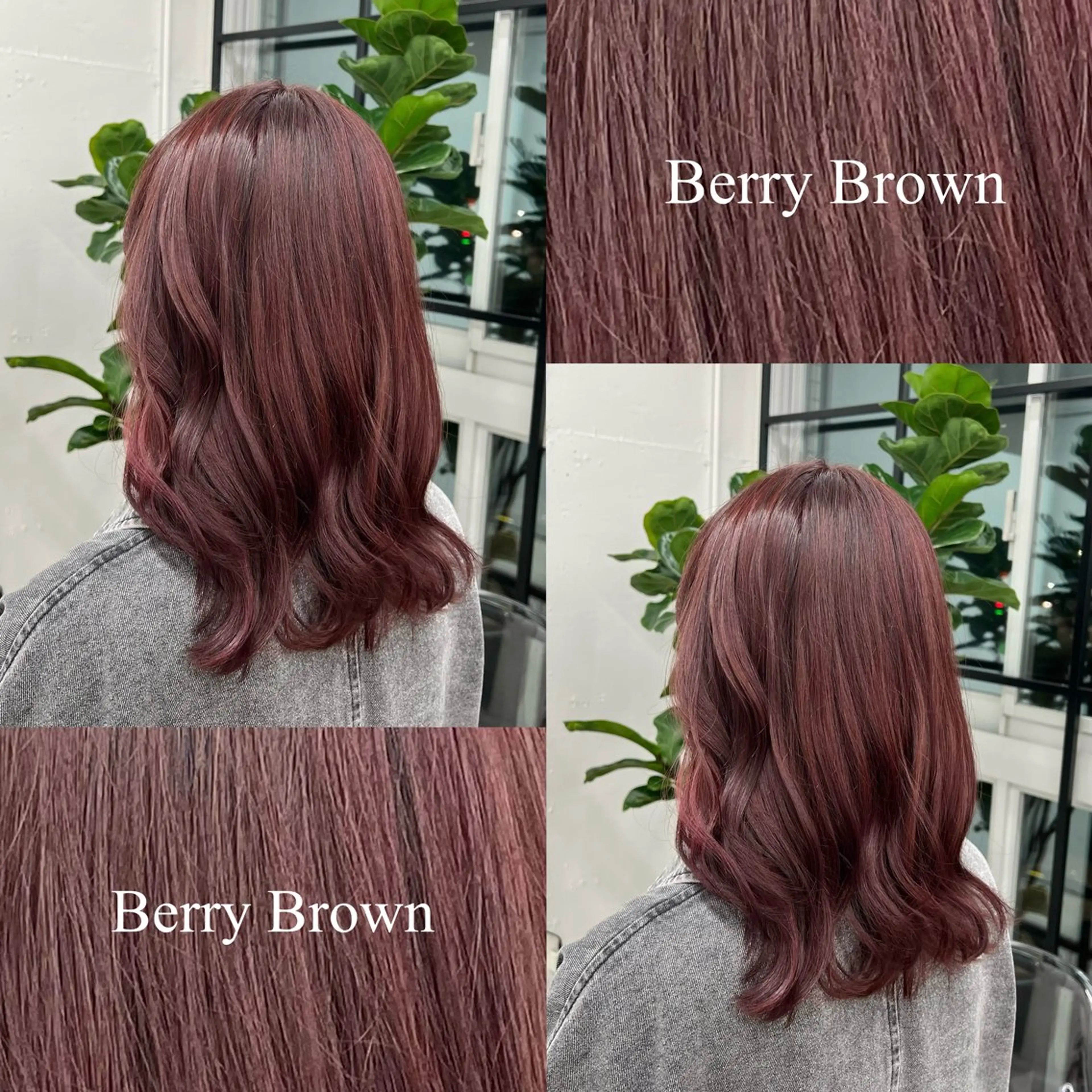 セミロング カラー ベージュカラー ブリーチ ブラウンカラー カシス ブリーチなしカラー 🌷︎あすか🌷 JILLSTUDIOのヘアスタイル