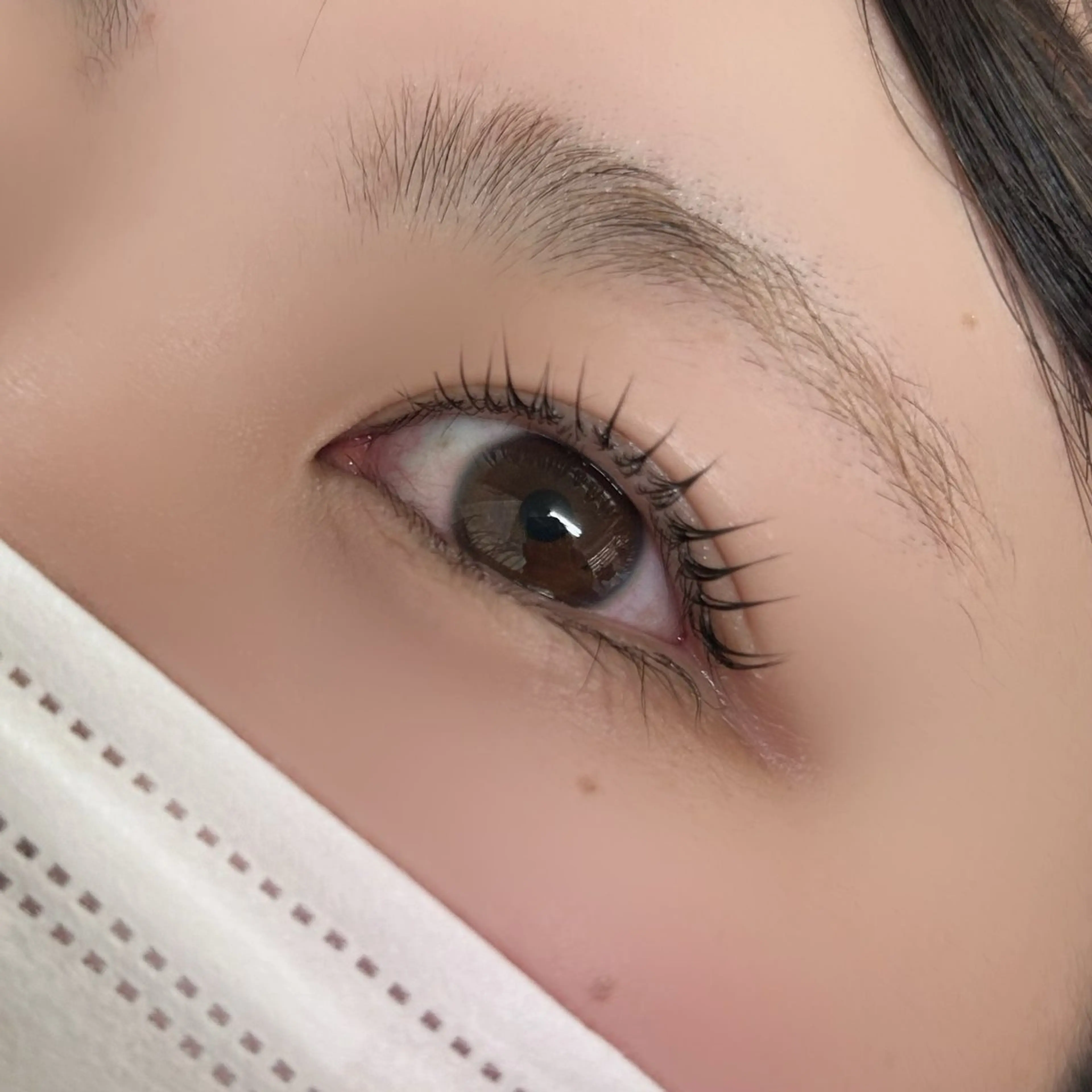 マツエク・マツパ パリジェンヌラッシュリフト EYELA みやびの眉毛・アイブロウイメージ
