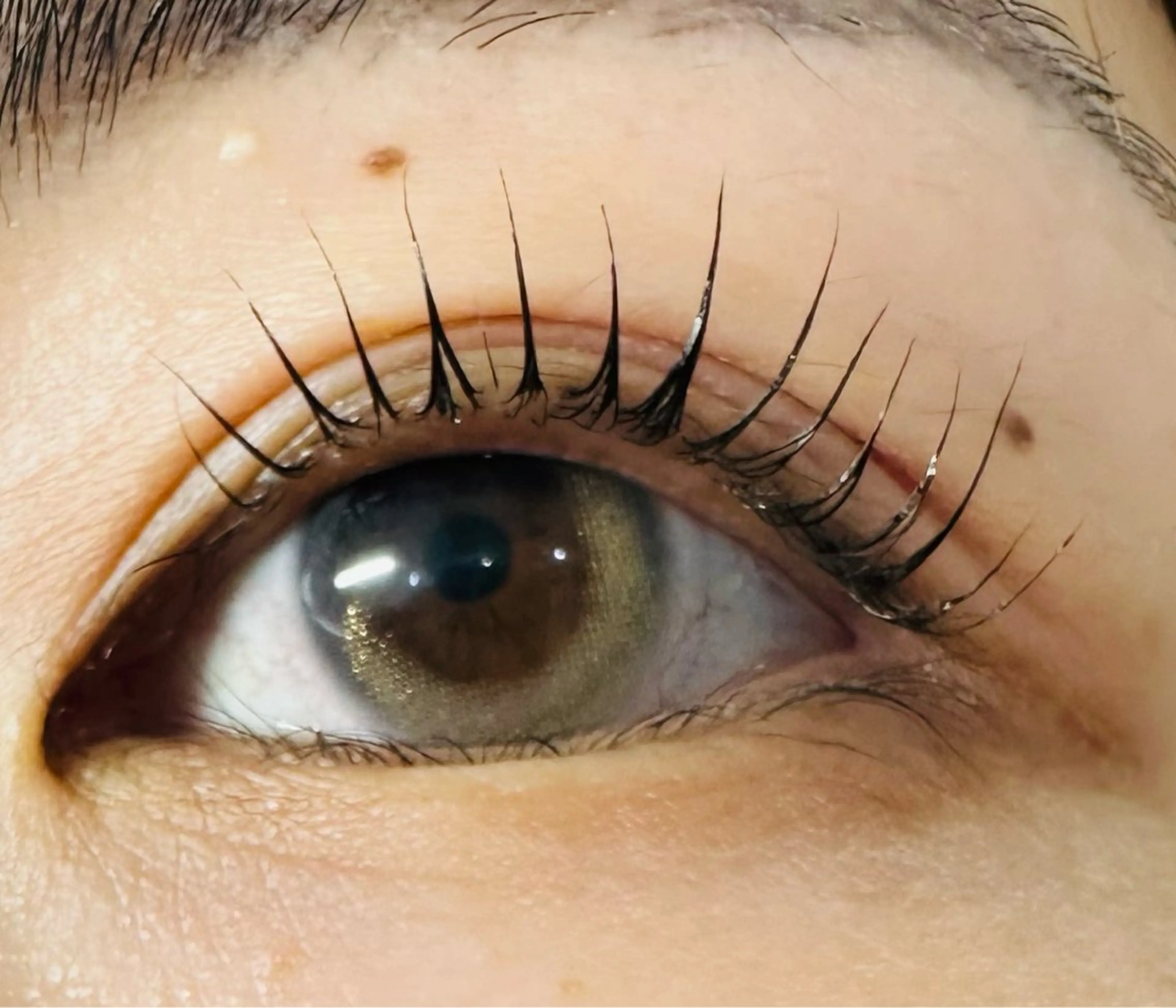 マツエク・マツパ パリジェンヌラッシュリフト eyelash Mono✨KATOの眉毛・アイブロウイメージ