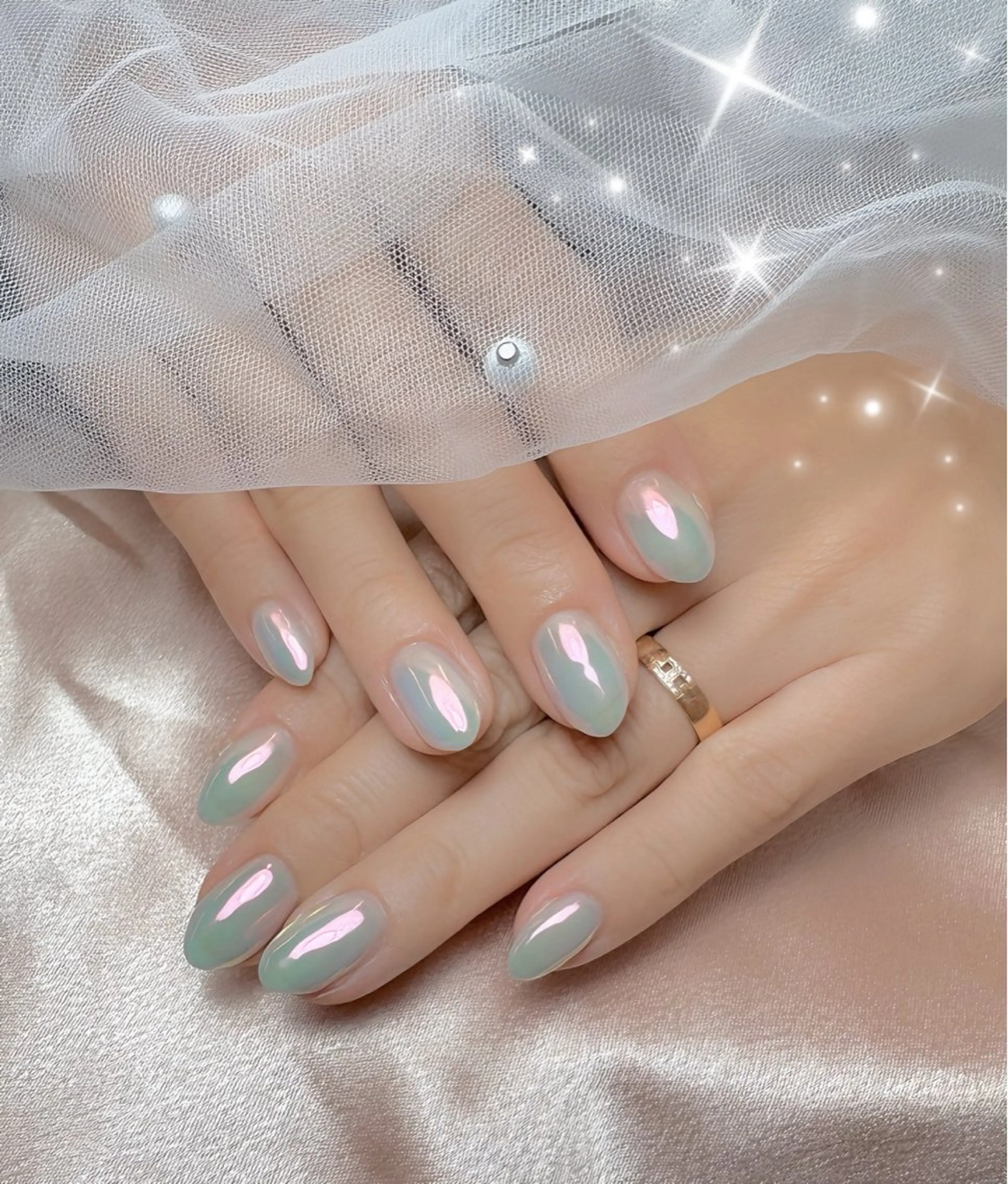 ネイル オーロラネイル ワンカラーネイル Pawtique nail salonのネイルデザイン