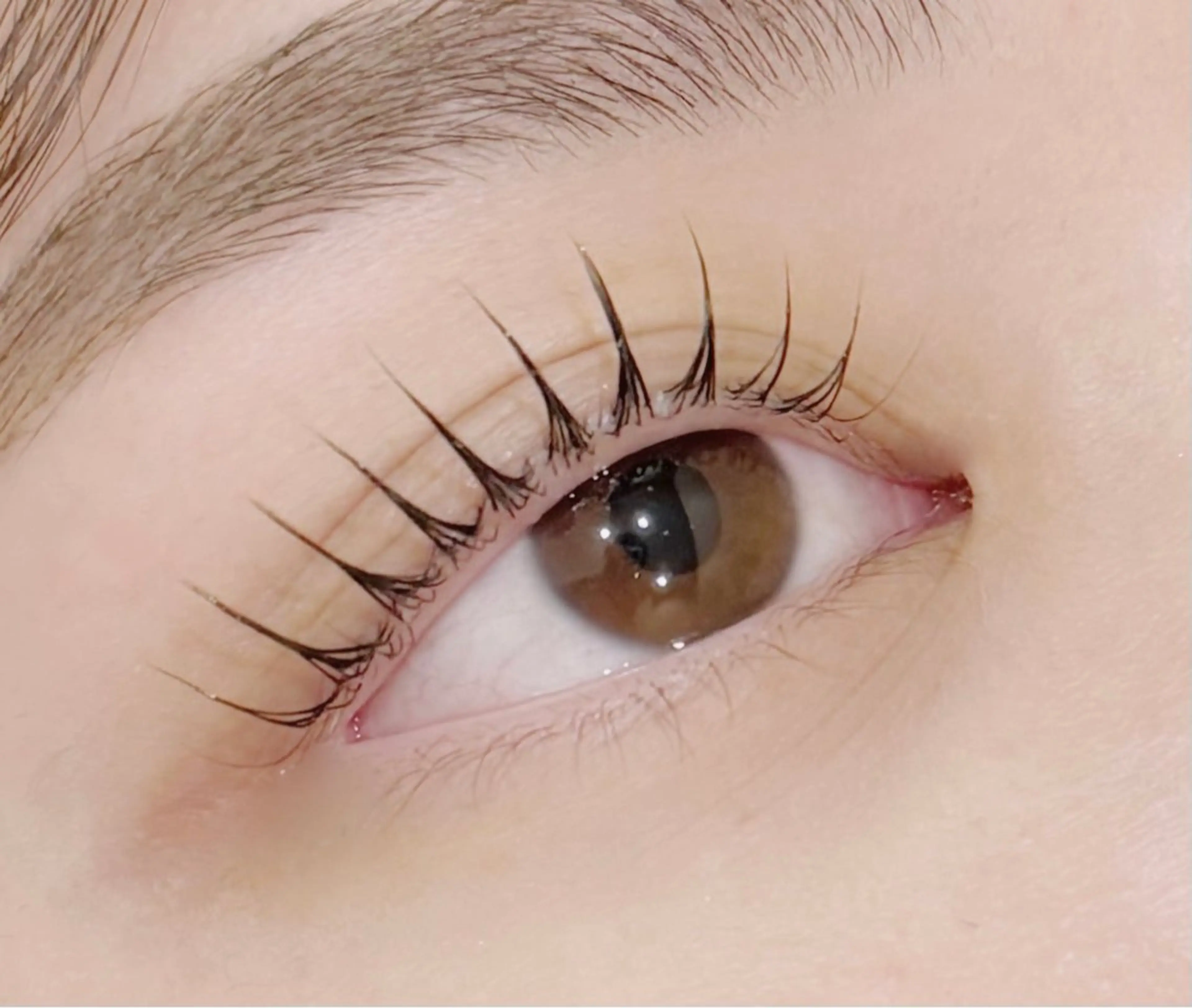 💡4月14日ご来店者様限定🎀パリジェンヌラッシュリフト🎀韓国束間仕上げ✨¥3300🩵の写真