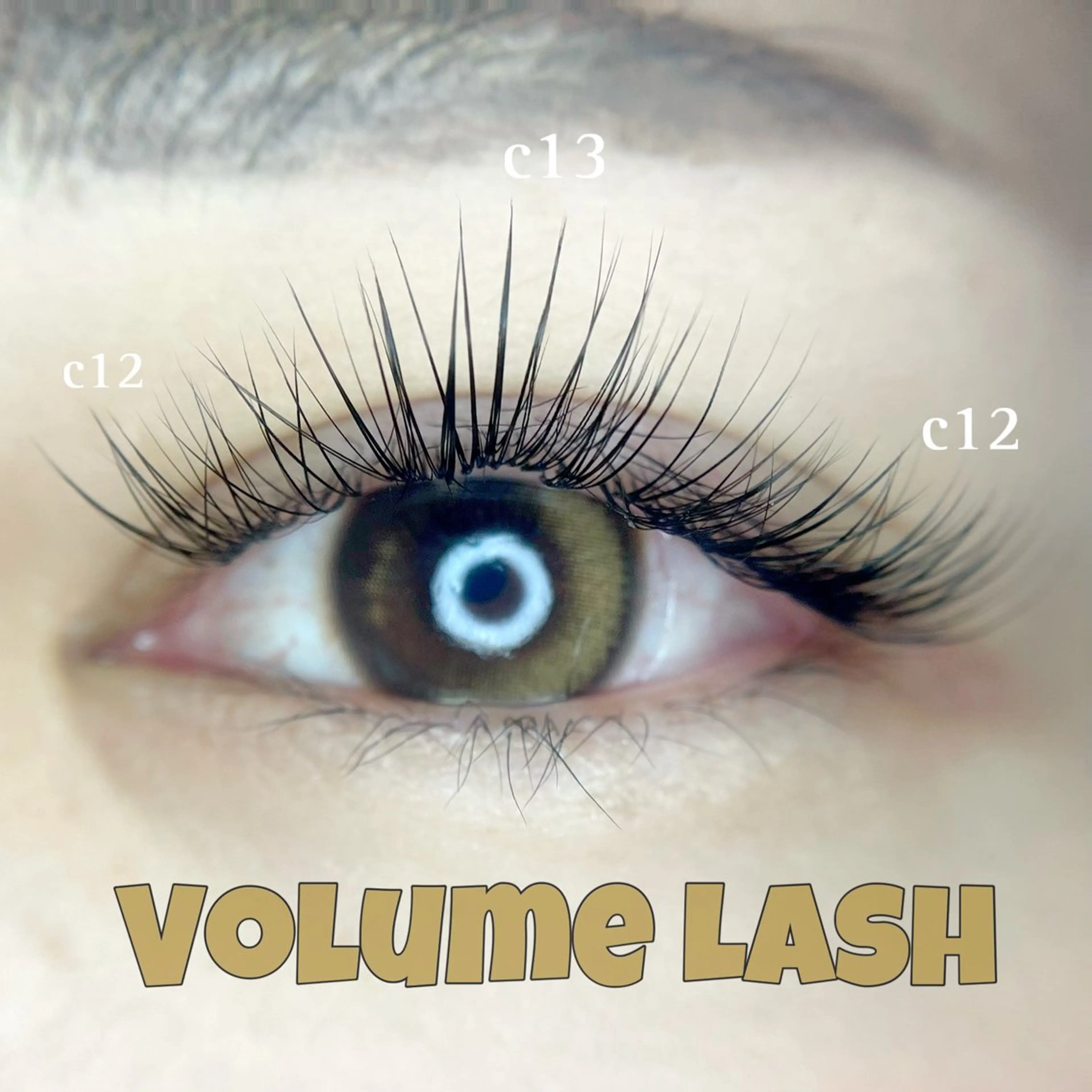 【ボリューム感たっぷり🍯】ボリュームラッシュ200本​〜​300本💎の写真