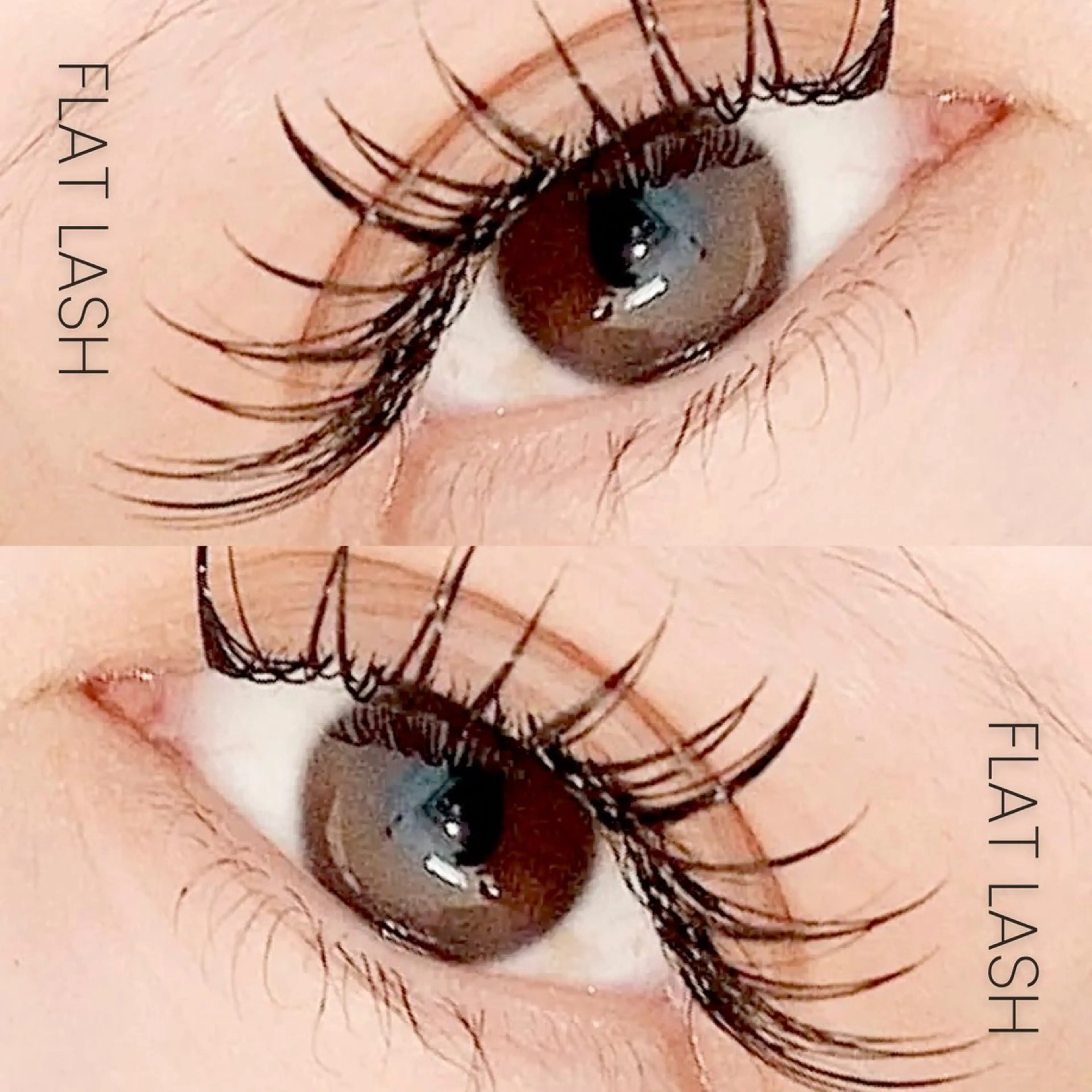 3/18限定★オフ無料♪フラットラッシュ120本【強力コーティング付き】の写真