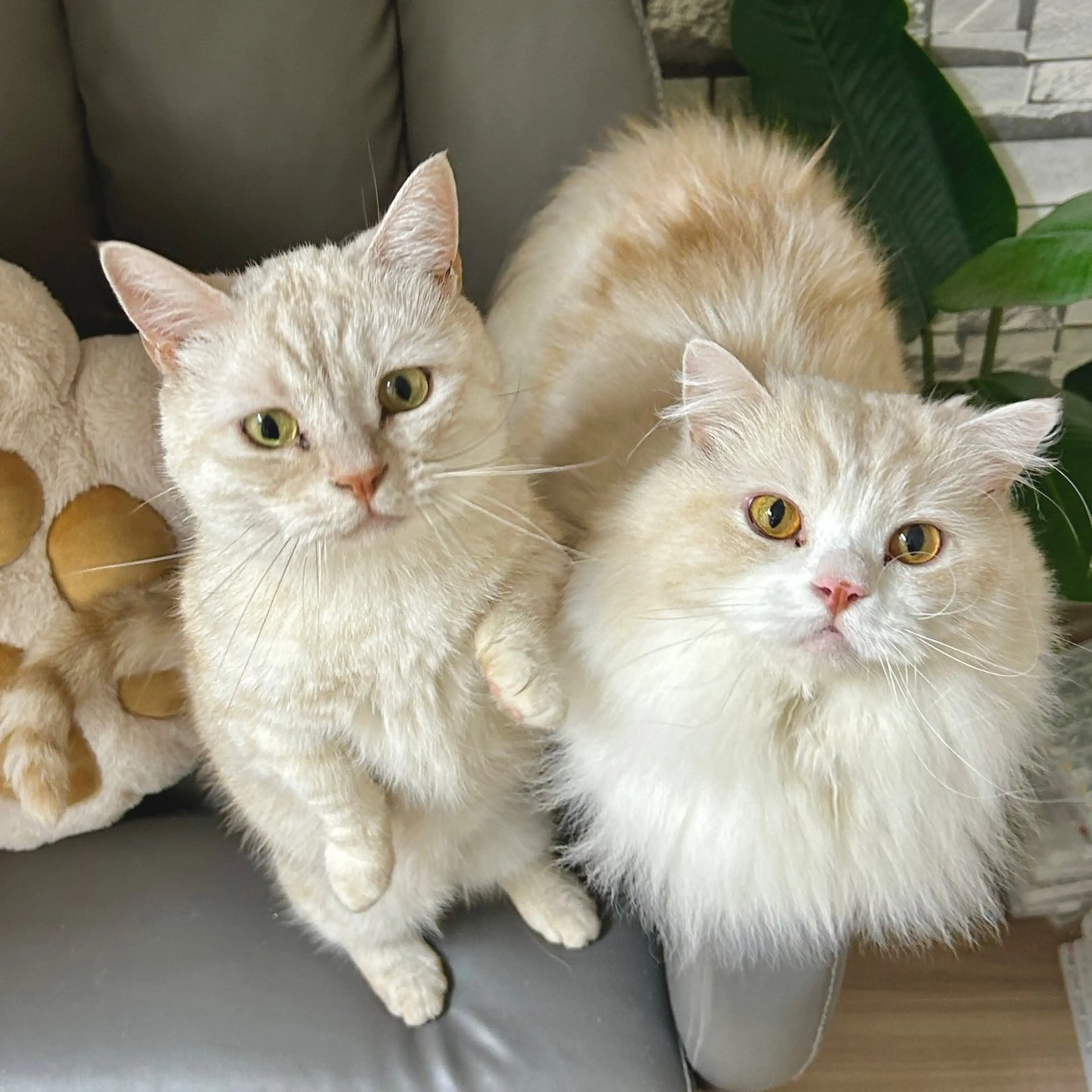 ネイル ハンドケア NFY-[[ああ]] nailforyouのネイルデザイン