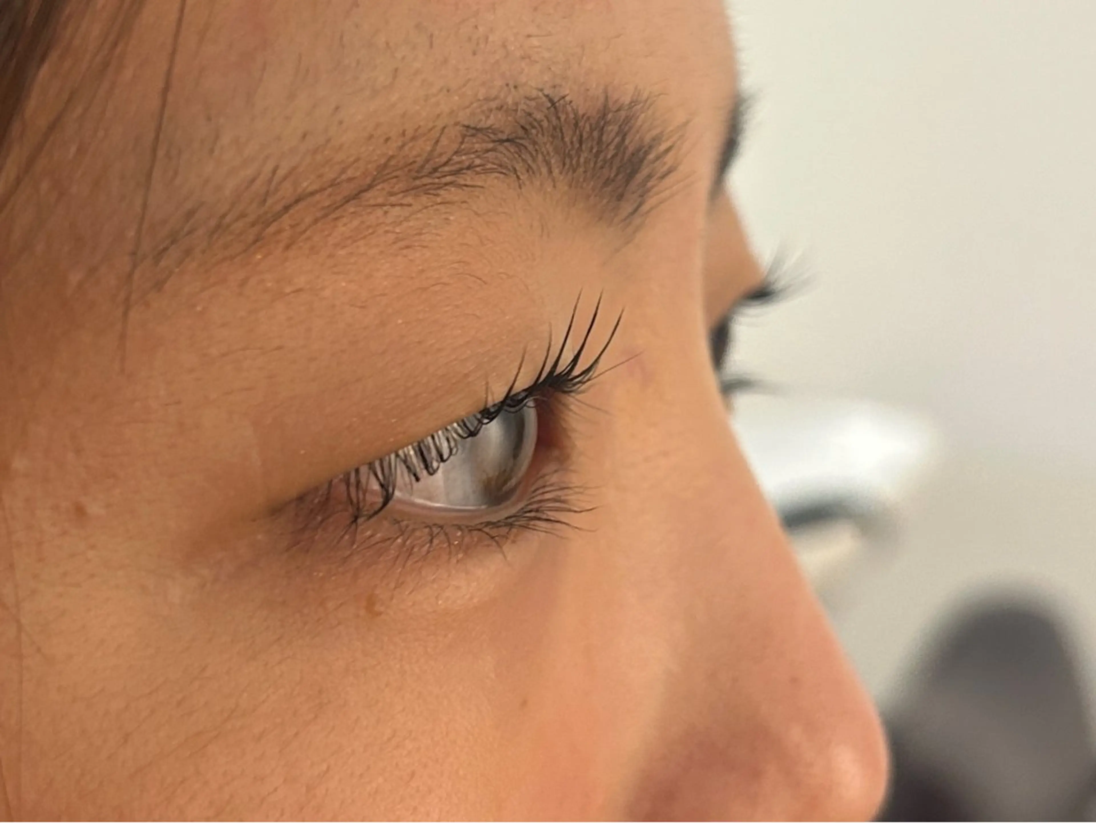 マツエク・マツパ マツパ 🦢まつパ ツヤカラー🩰さくらのマツエク・マツパデザイン